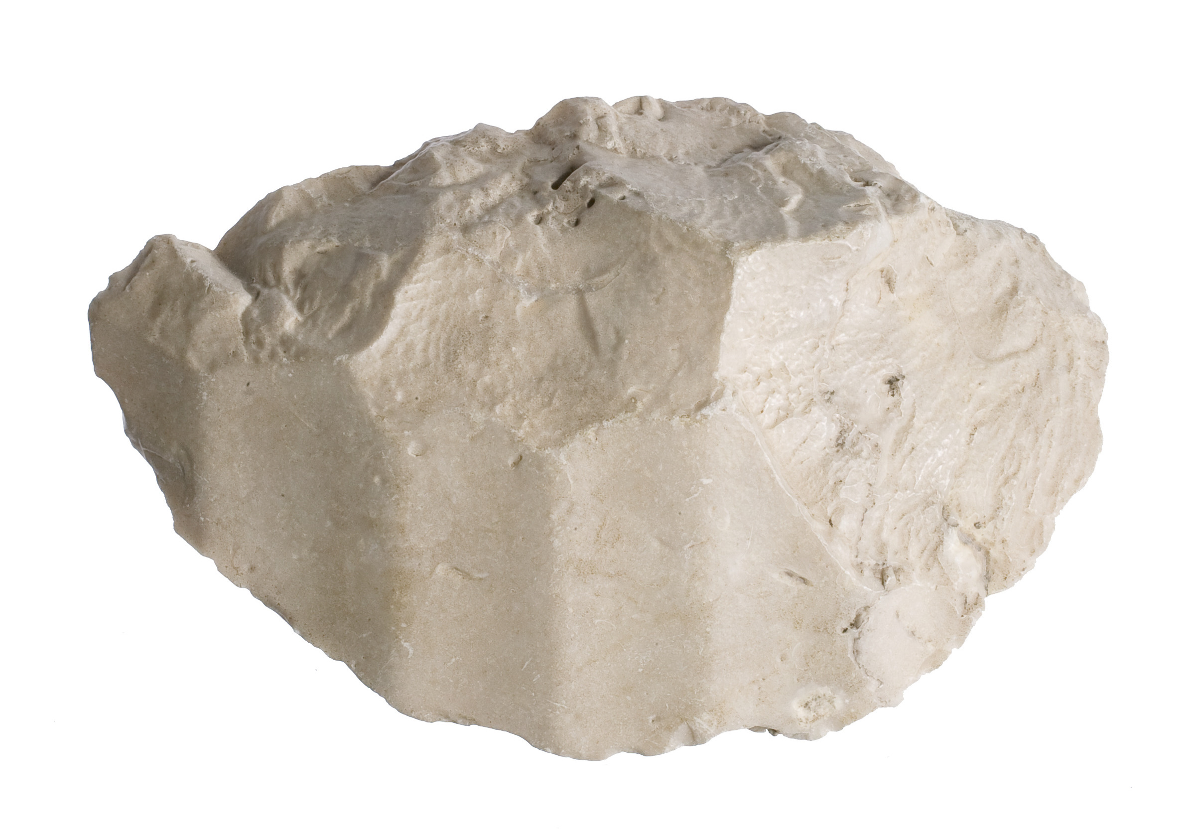 Raw White Chalk Rock — Science
