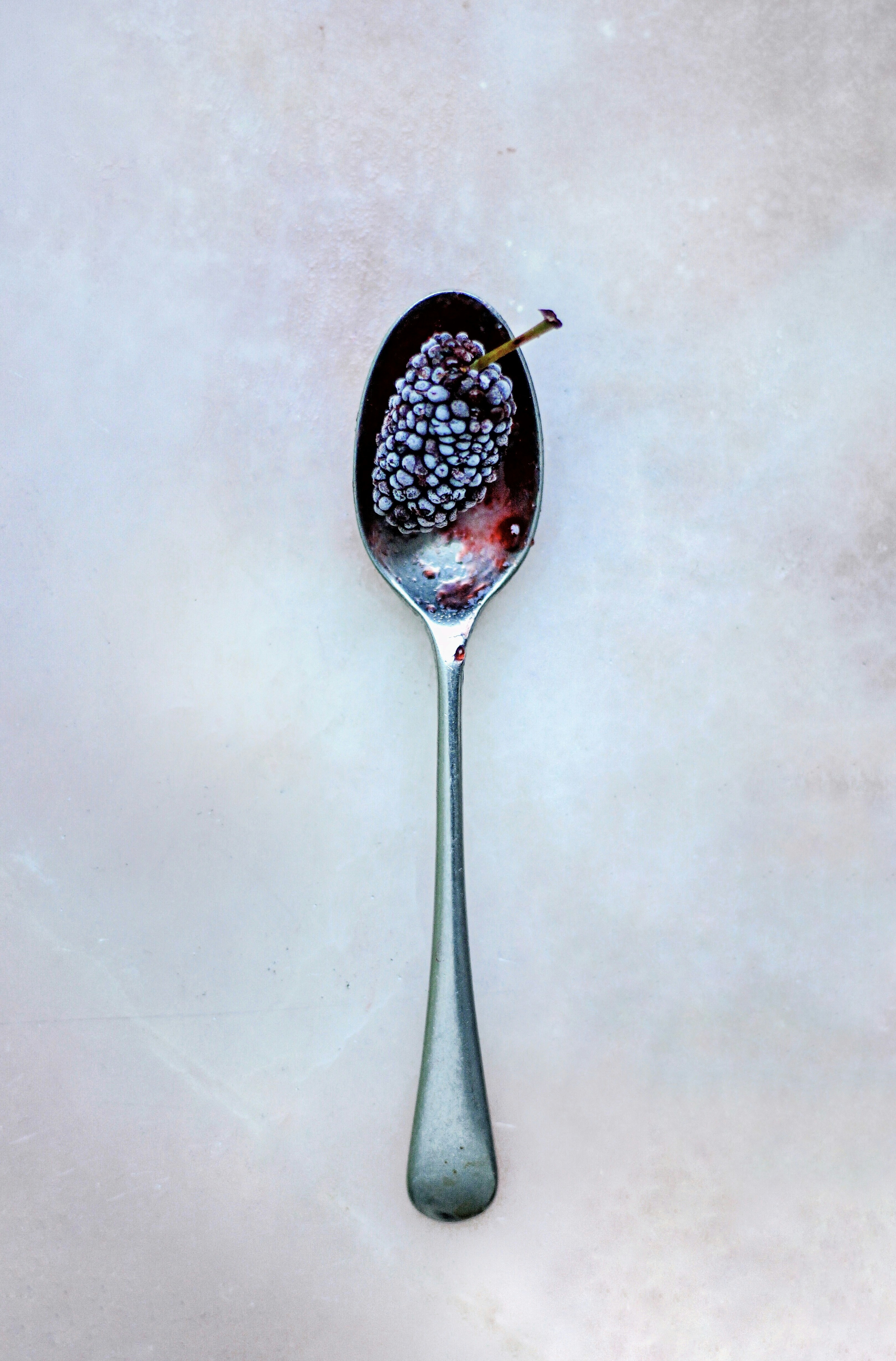 Frozen Blackberry on Metal Spoon