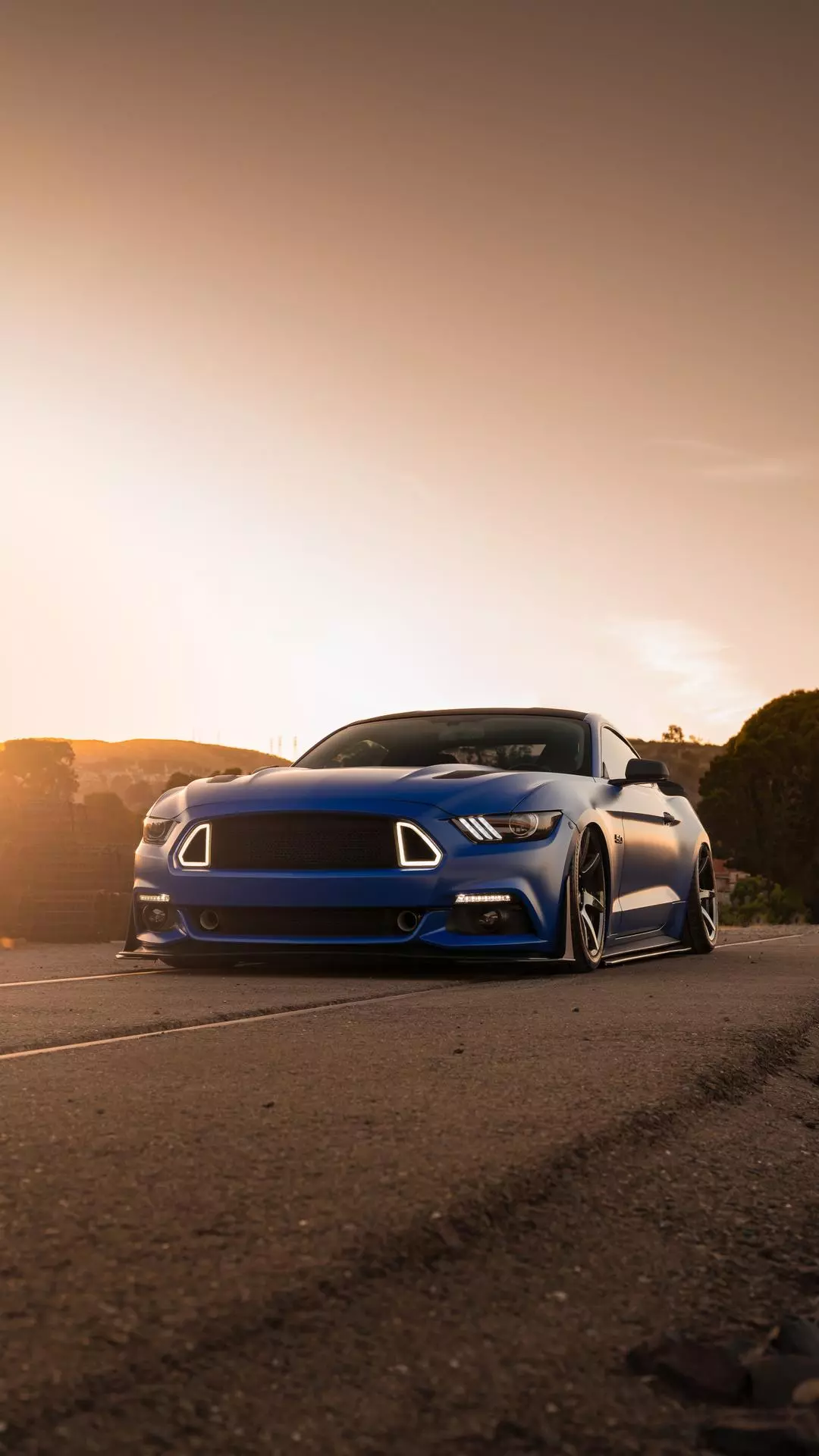 Wallpapers