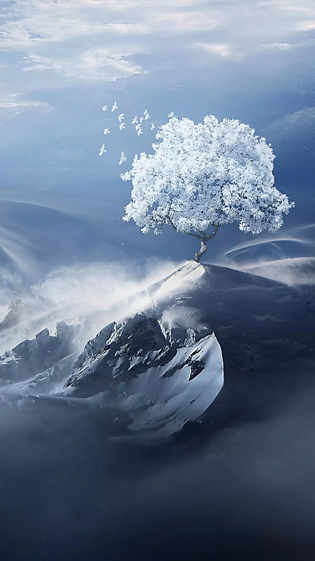Wallpapers