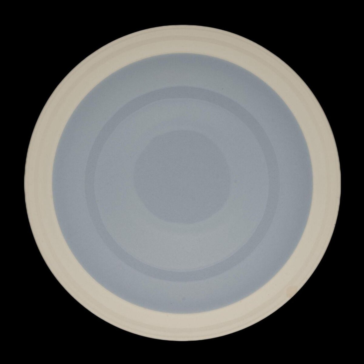 Round Plate with Blue Concentric Rings