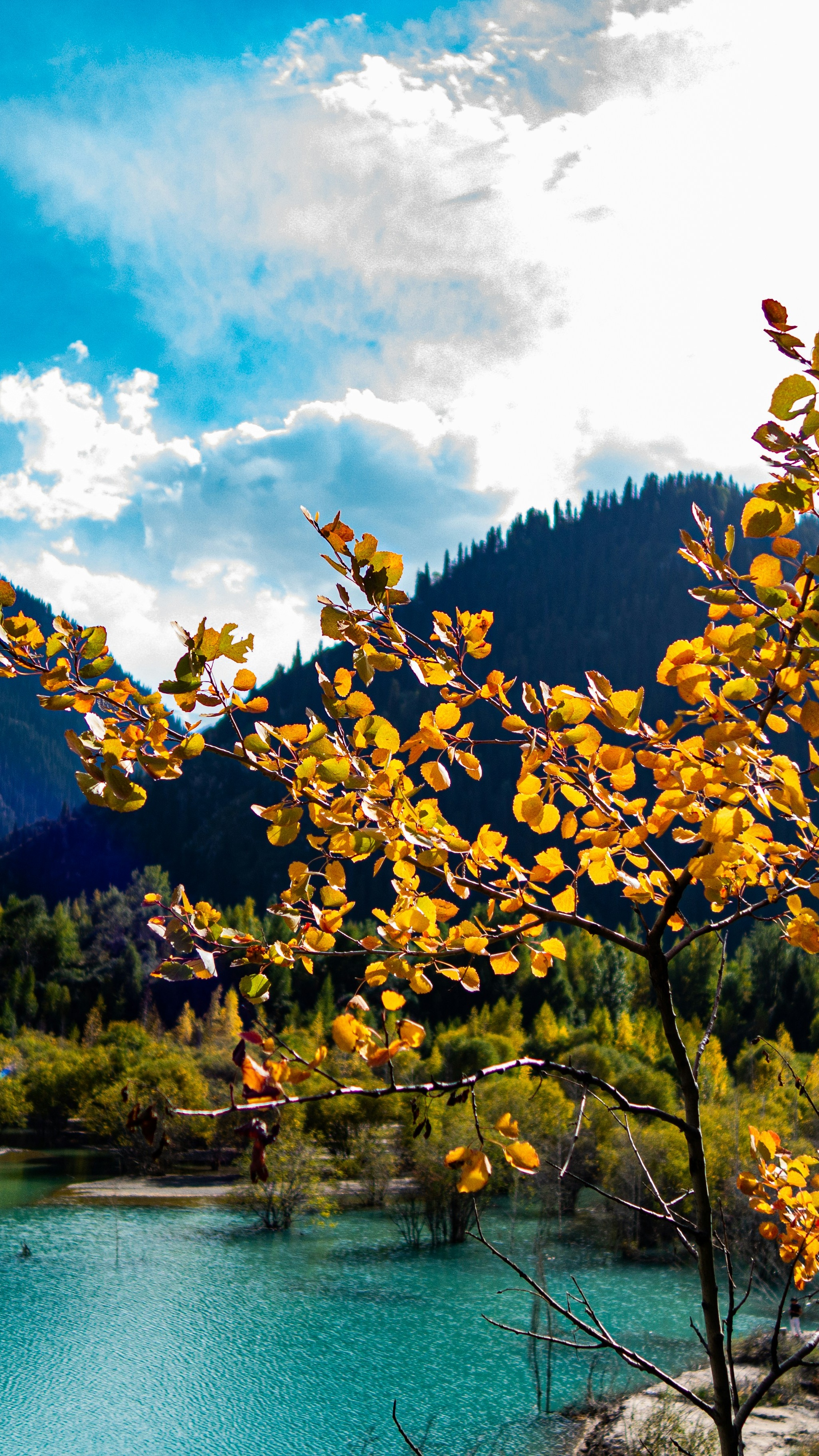 Autumn Mountain Lake Landscape