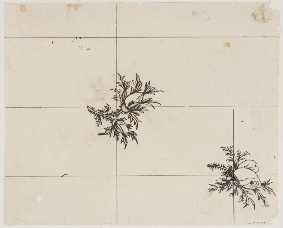 Ink Sketch of Two Plant Clusters