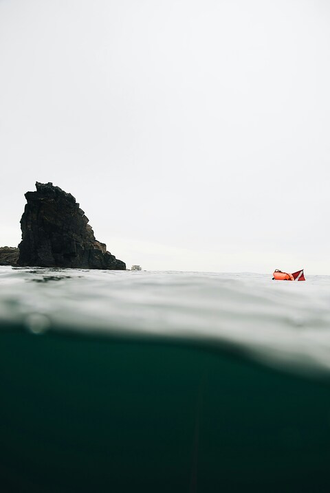 Half Underwater Open Sea Diving Scene