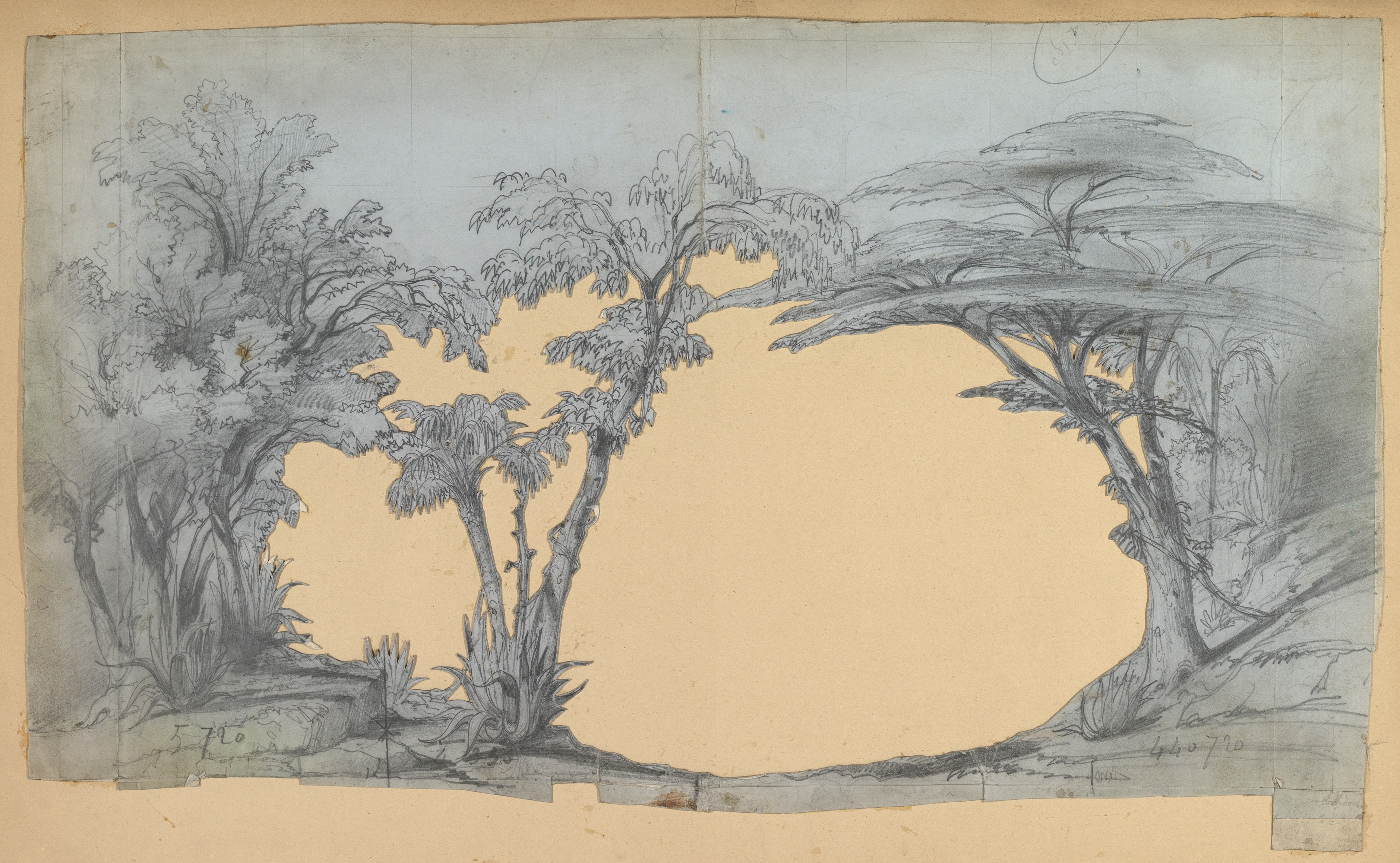 Tropical Forest Pencil Sketch