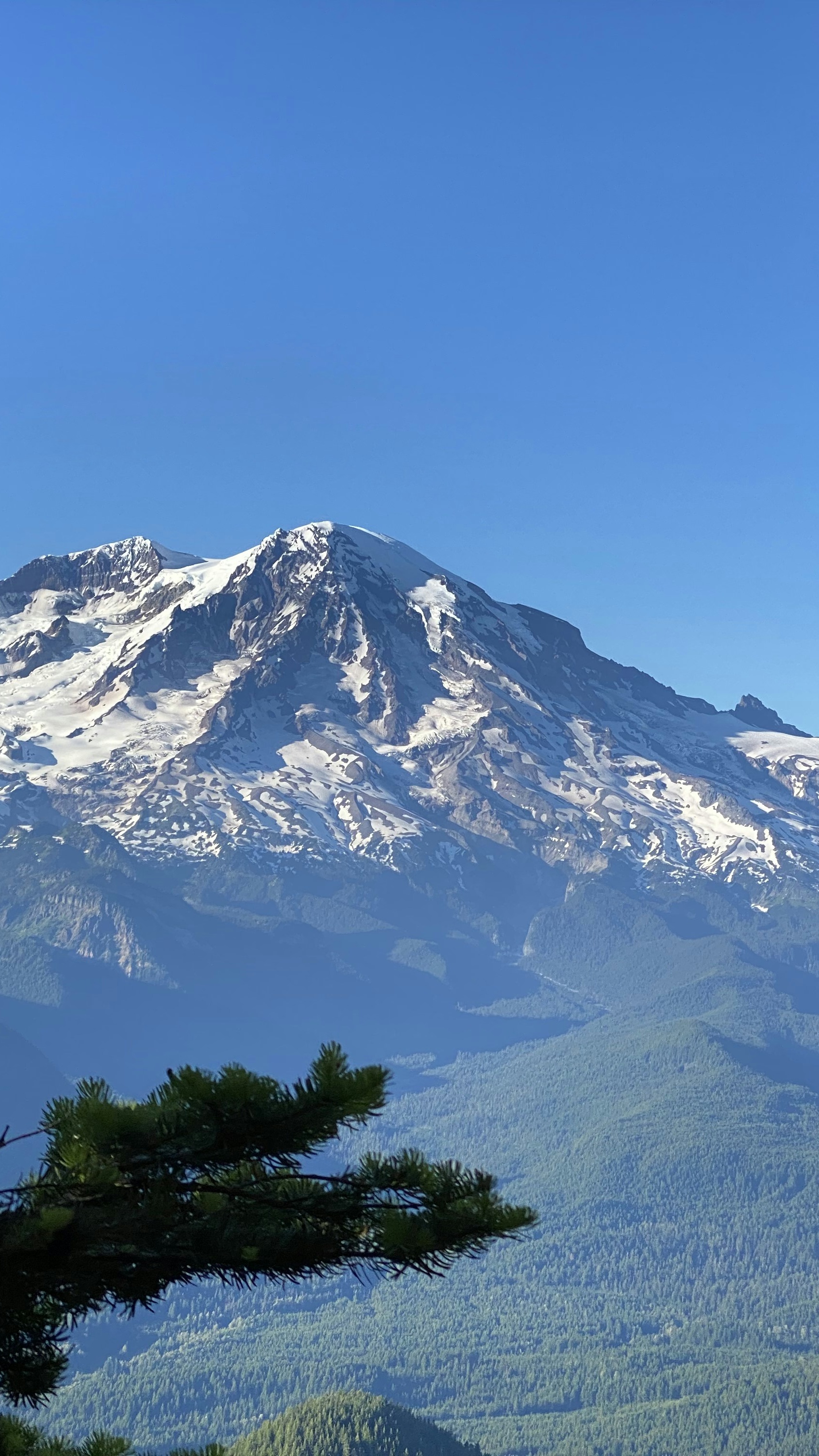 Snow-Capped Mount Rainier Landscape