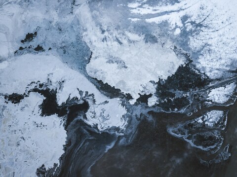 Monochrome Abstract Fluid Painting