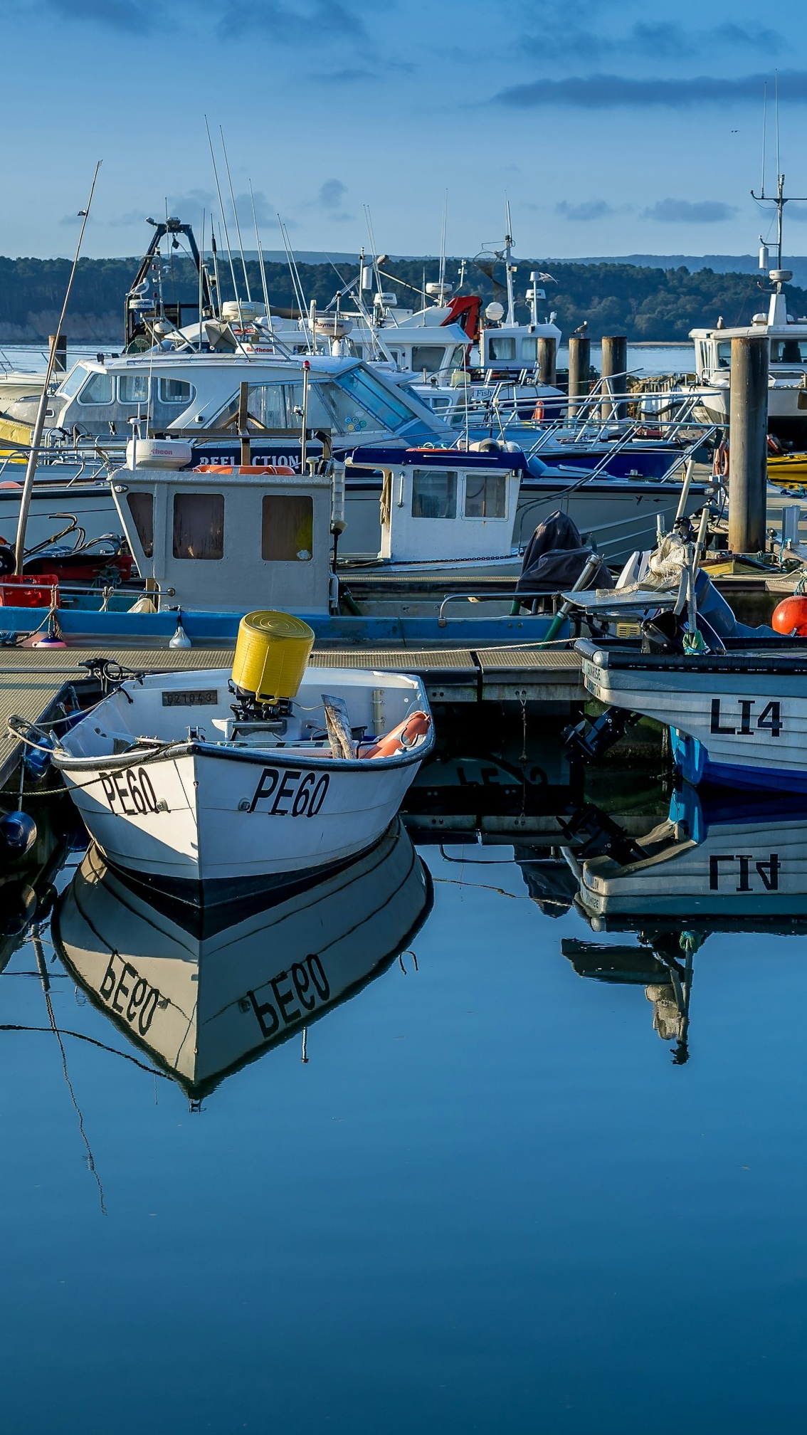 Docked Fishing Boats in Calm Marina