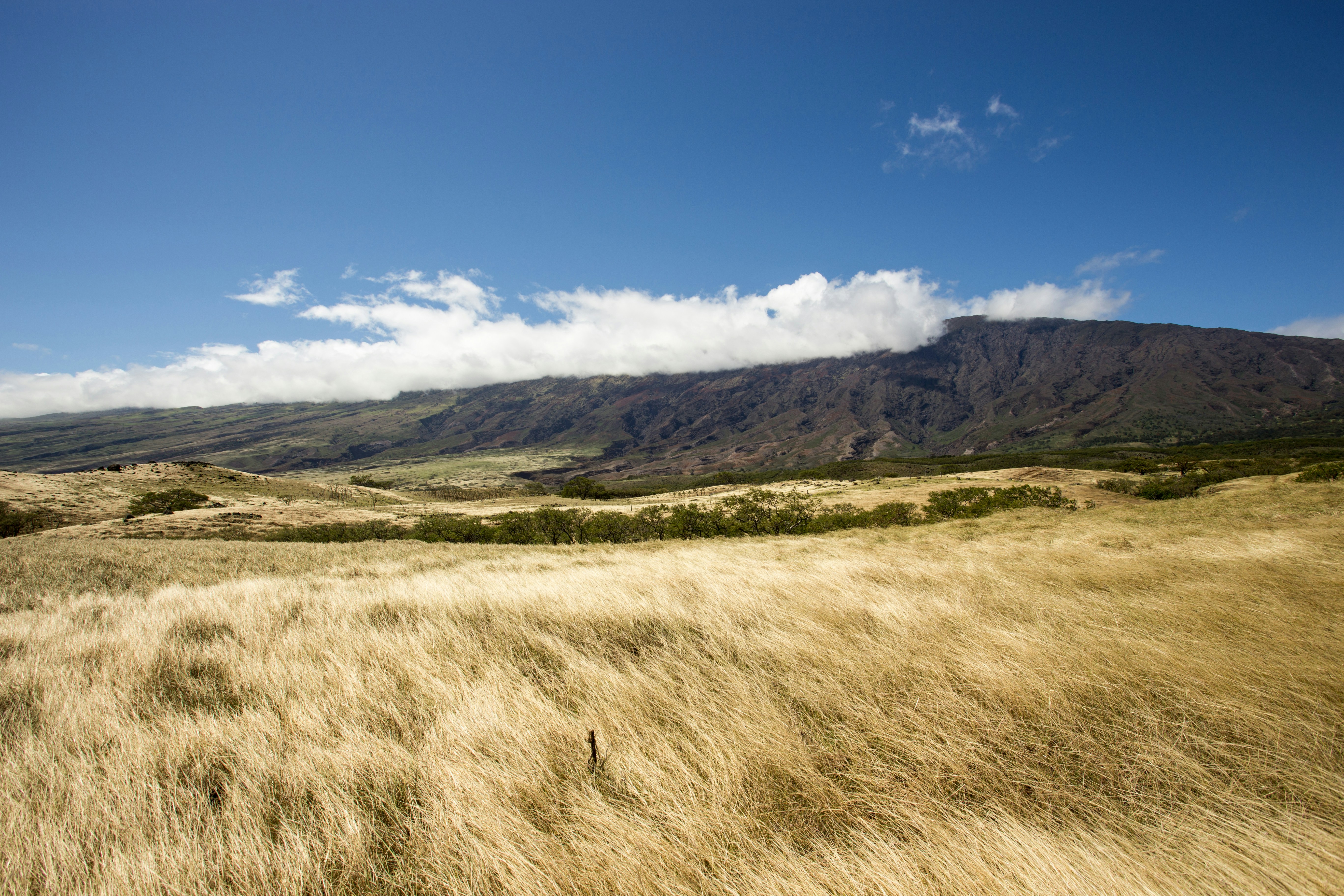 Dry Grassland and Cloud-covered Mountain