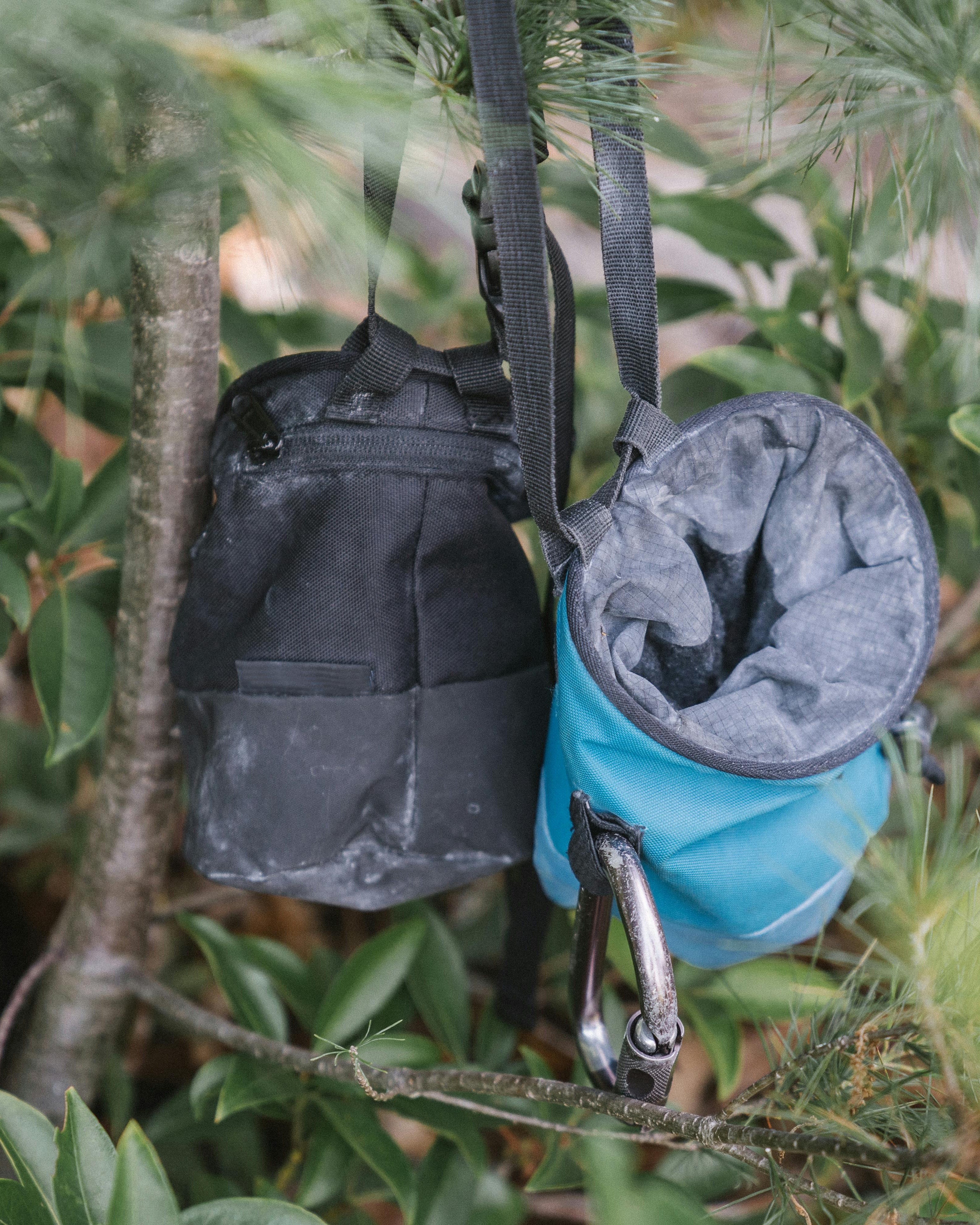 Climbing Chalk Bags Hanging on Tree