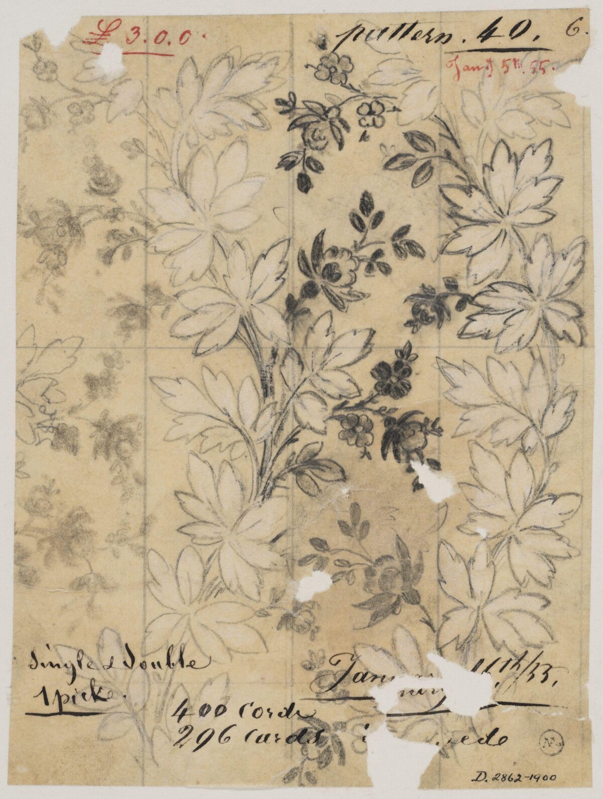 Antique Floral Pattern Sketch