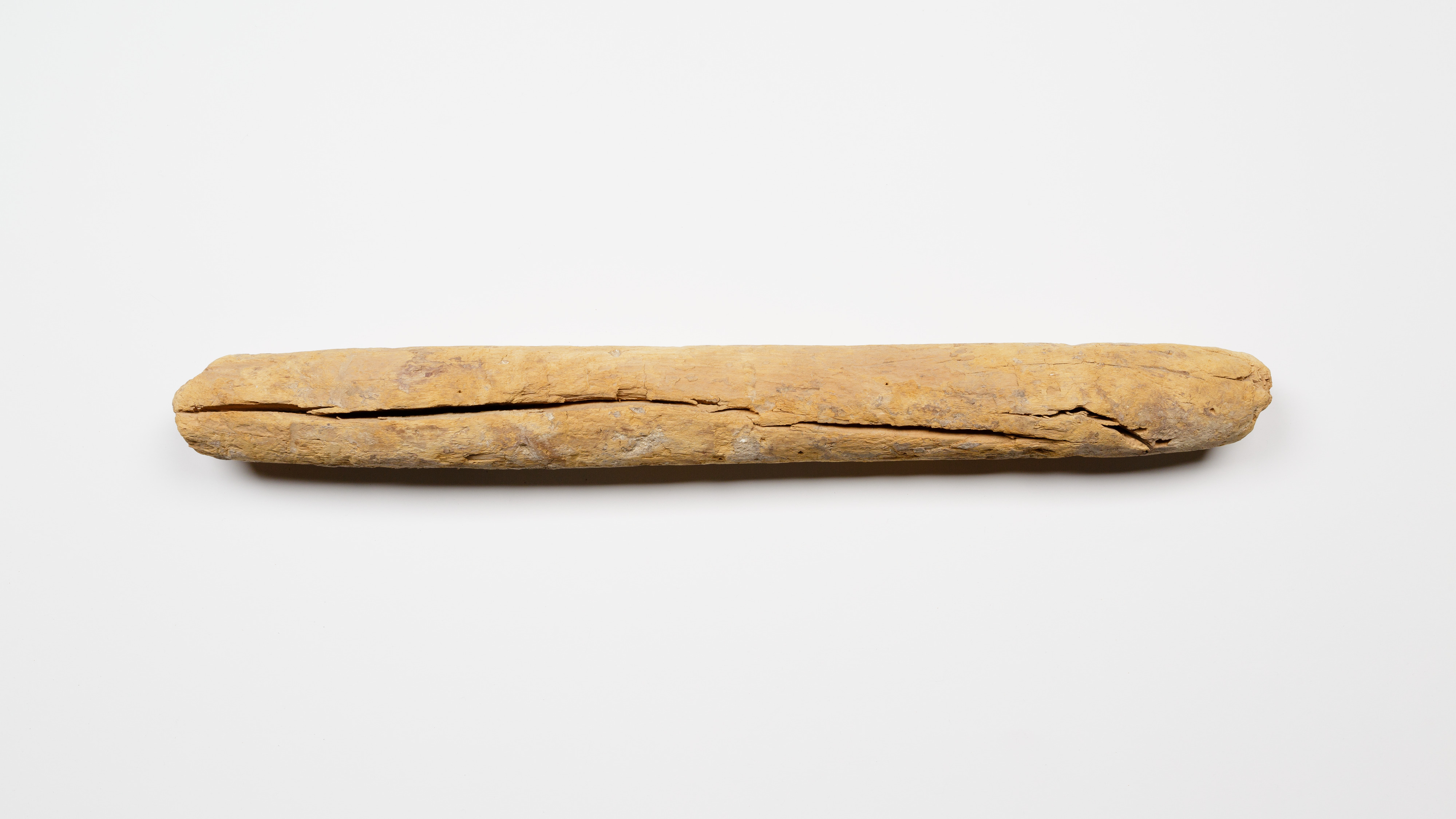 Split Weathered Wooden Stick