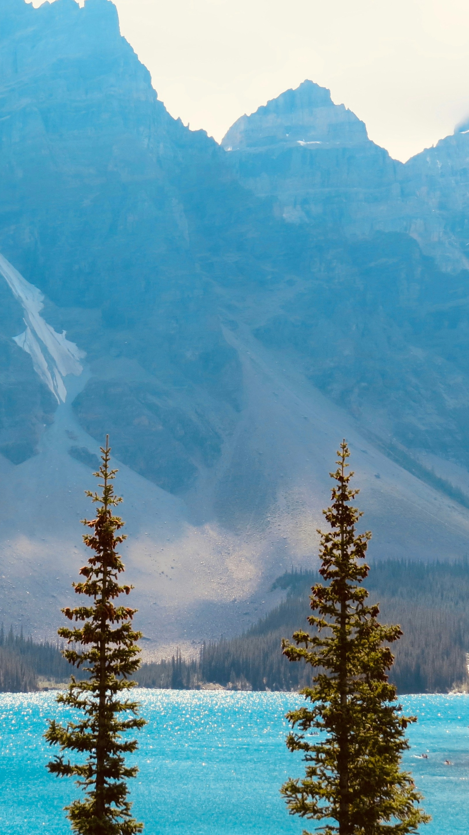 Wallpapers
