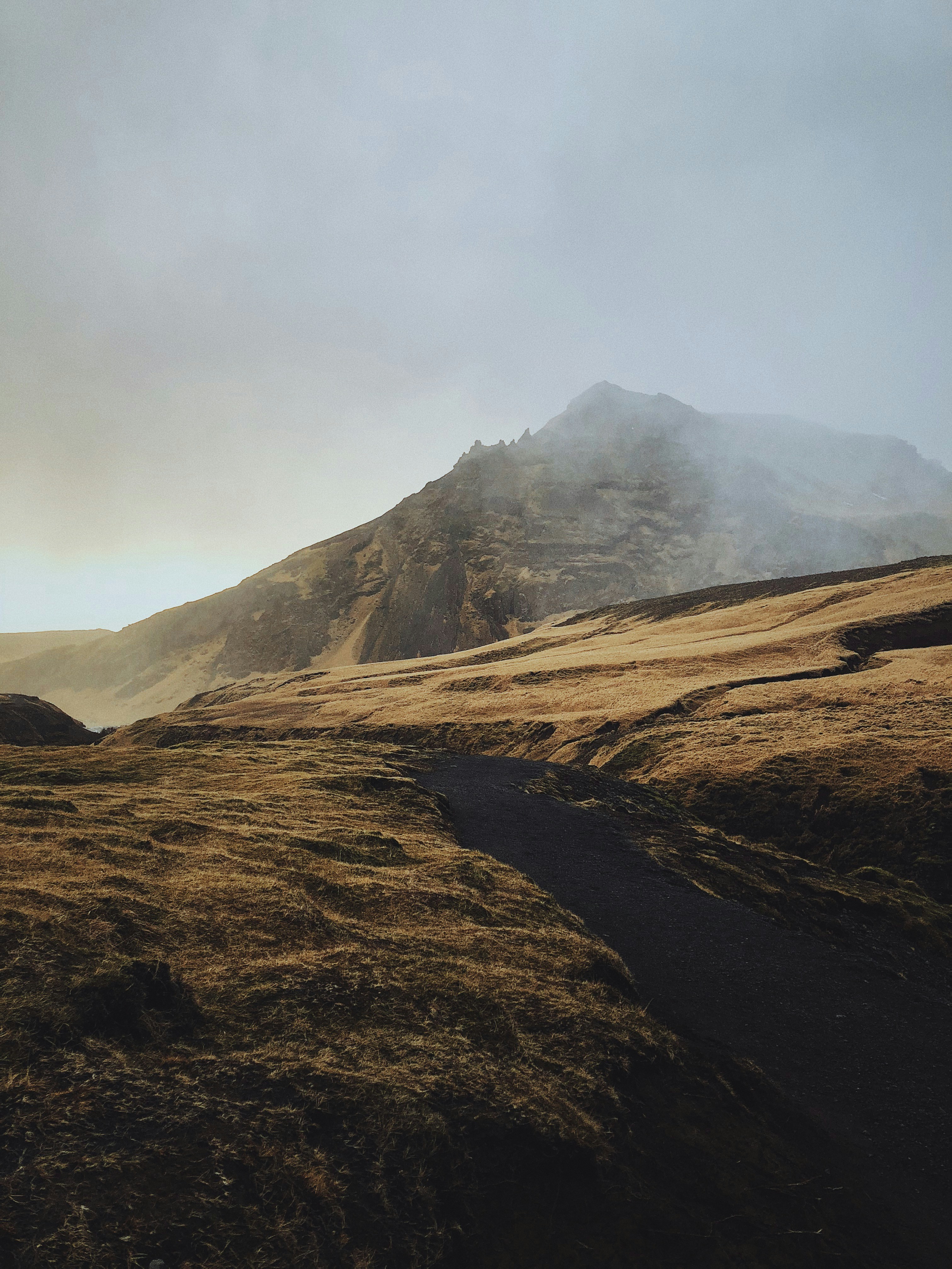 Misty Mountain Grassland