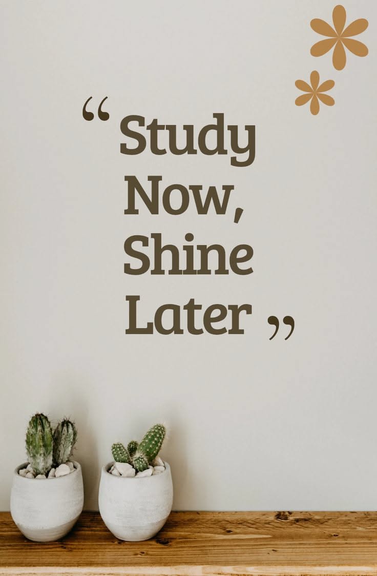 Study Now Shine Later Motivational Quote