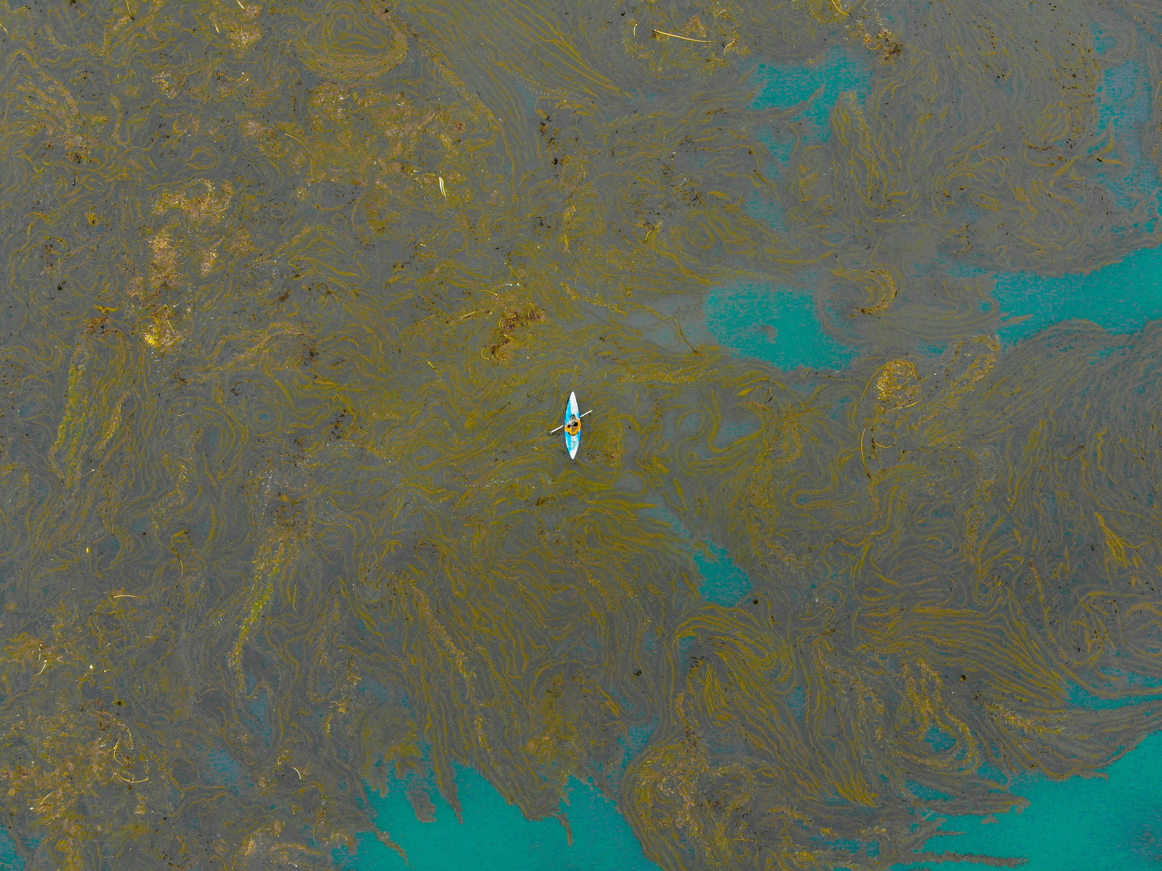 Aerial View of Kayak on Algae Water