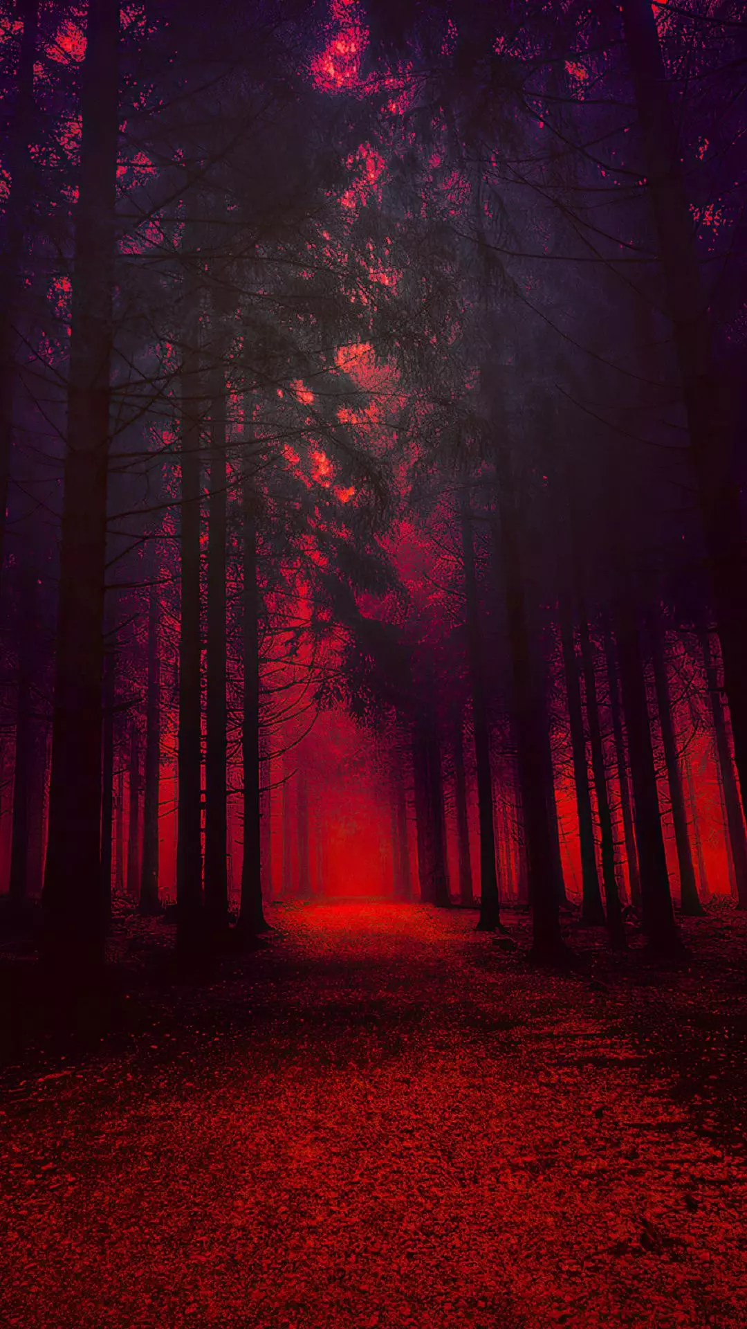Wallpapers