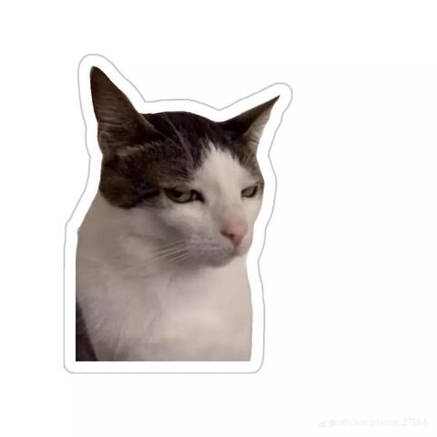 Skeptical Cat Meme Sticker