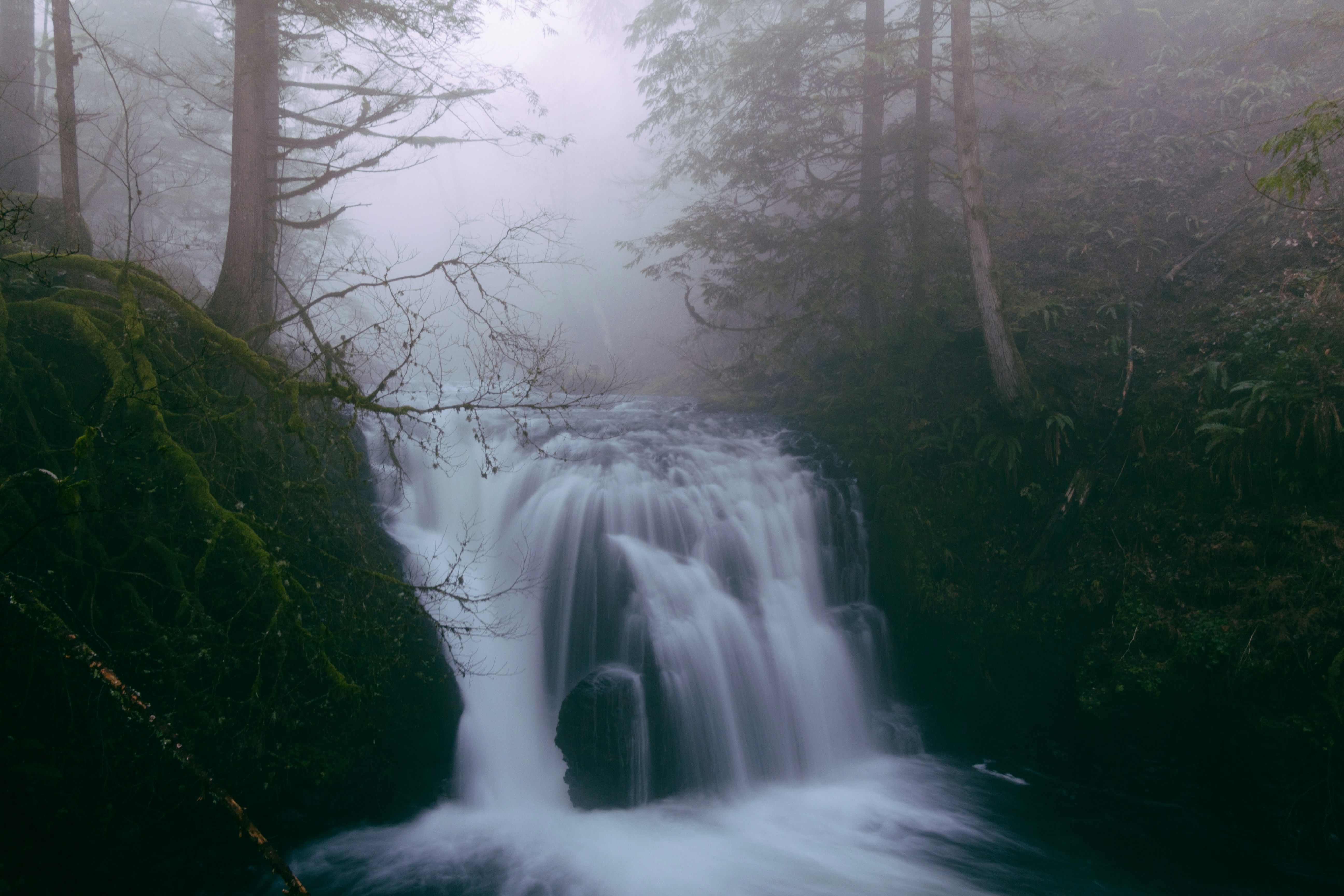 Misty Forest Waterfall