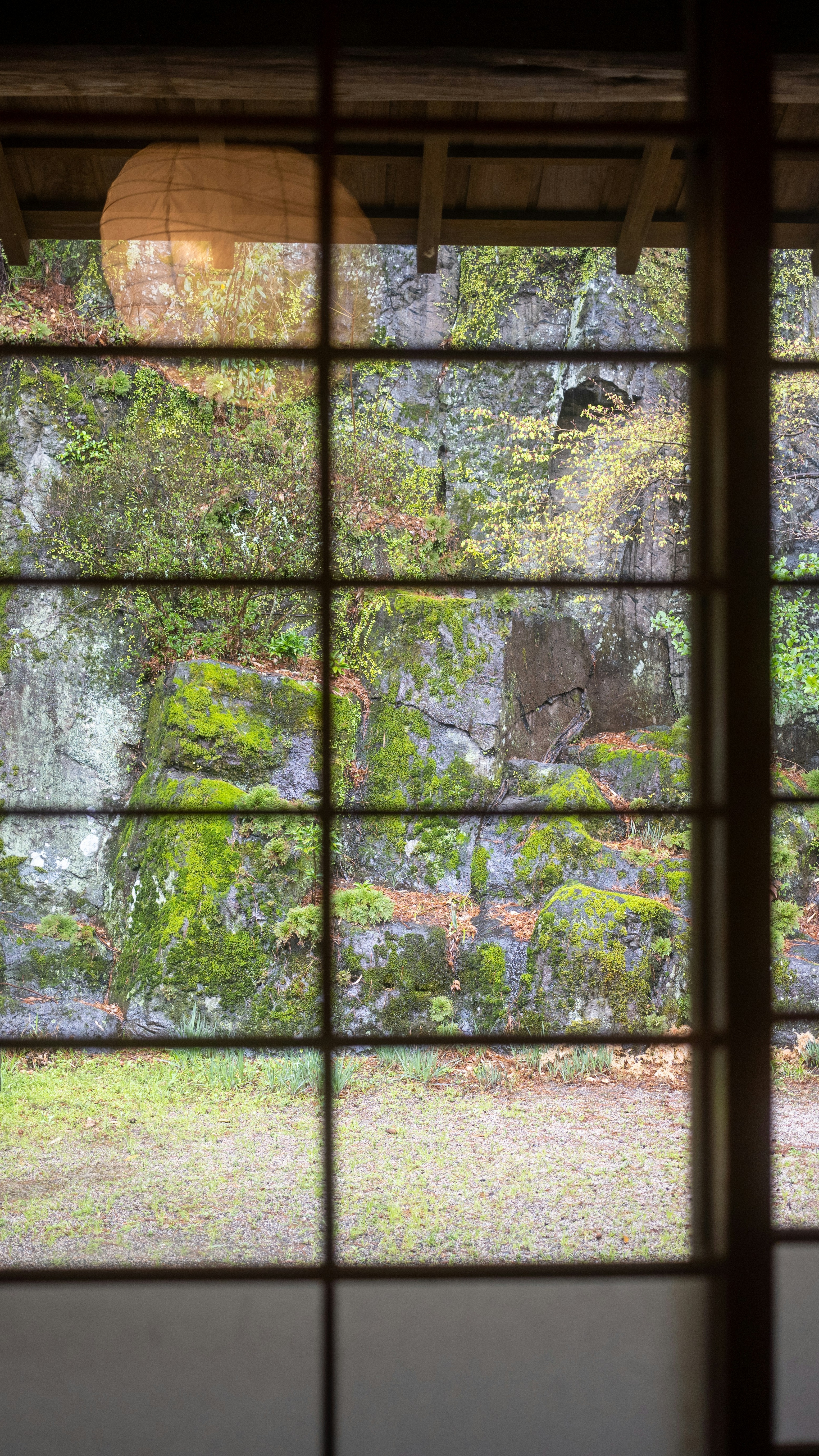 Mossy Rock Garden View Through Window