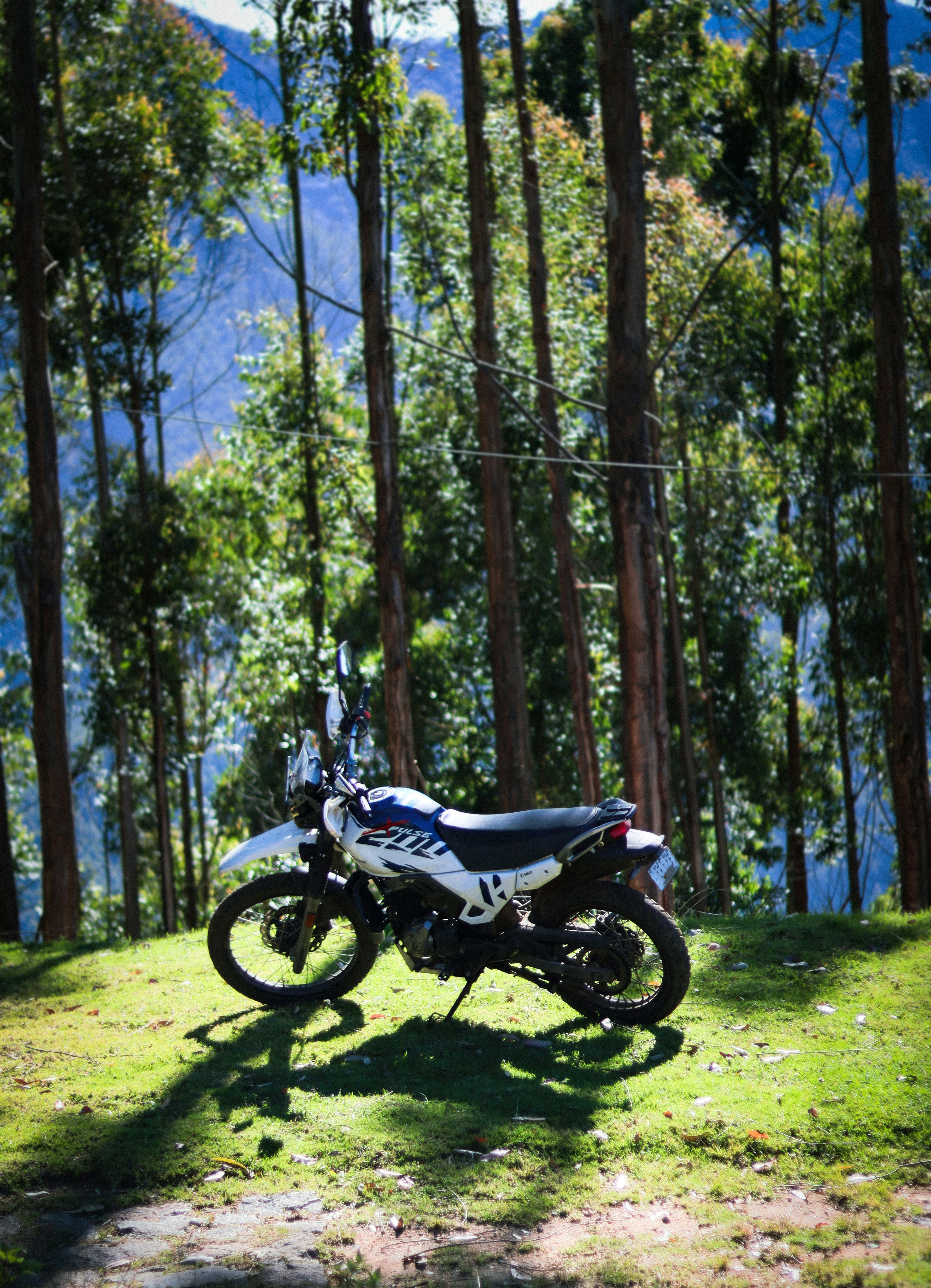 Wallpapers