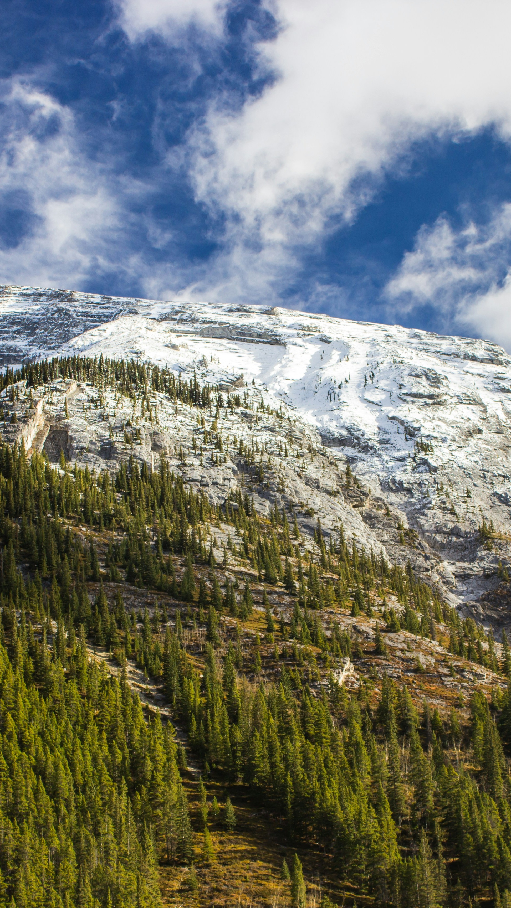 Snow-capped Mountain with Dense Forest