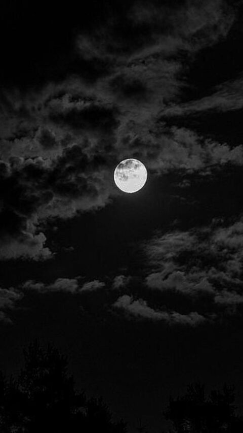 Image 1592557 — Nature