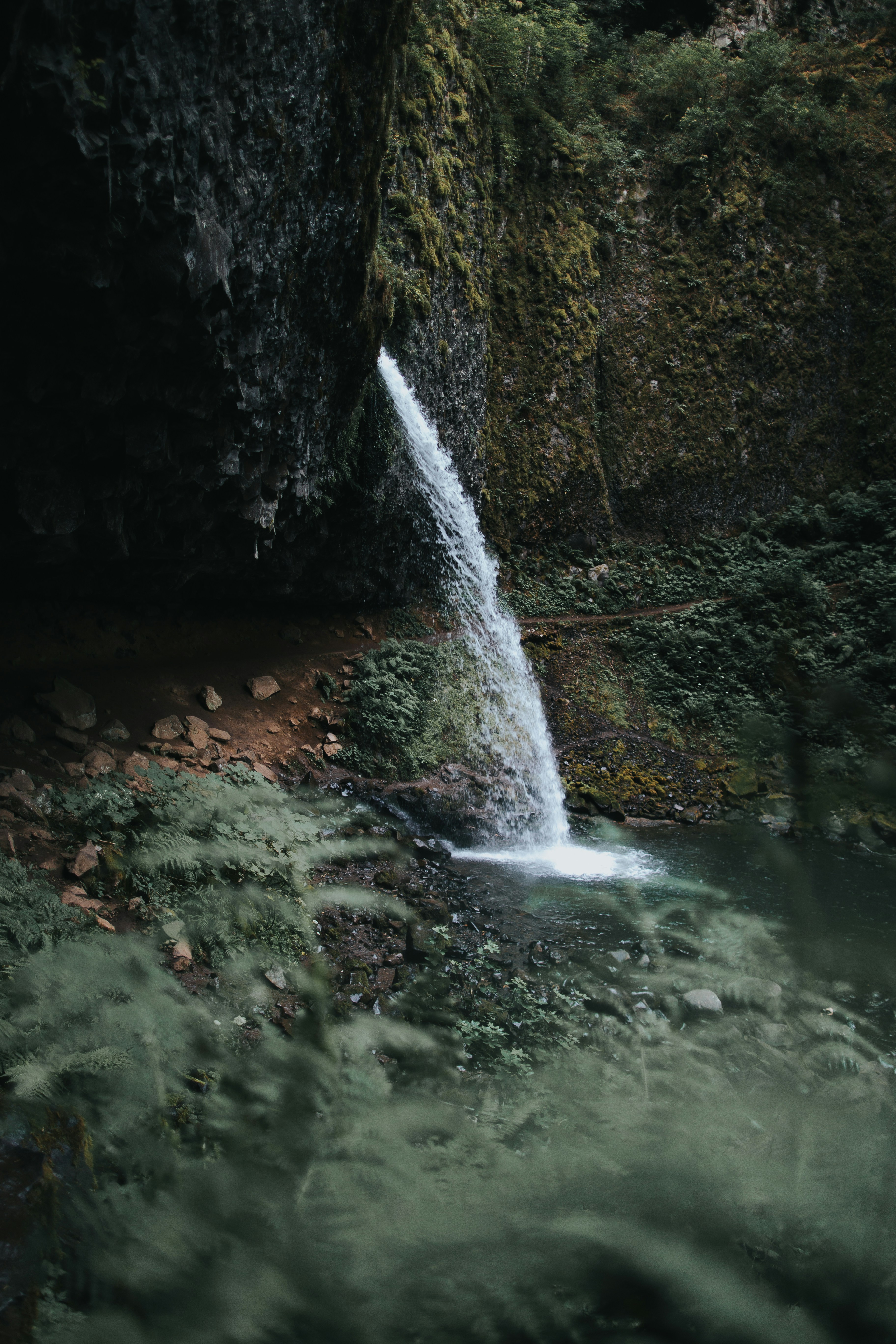 Hidden Waterfall on Mossy Cliff