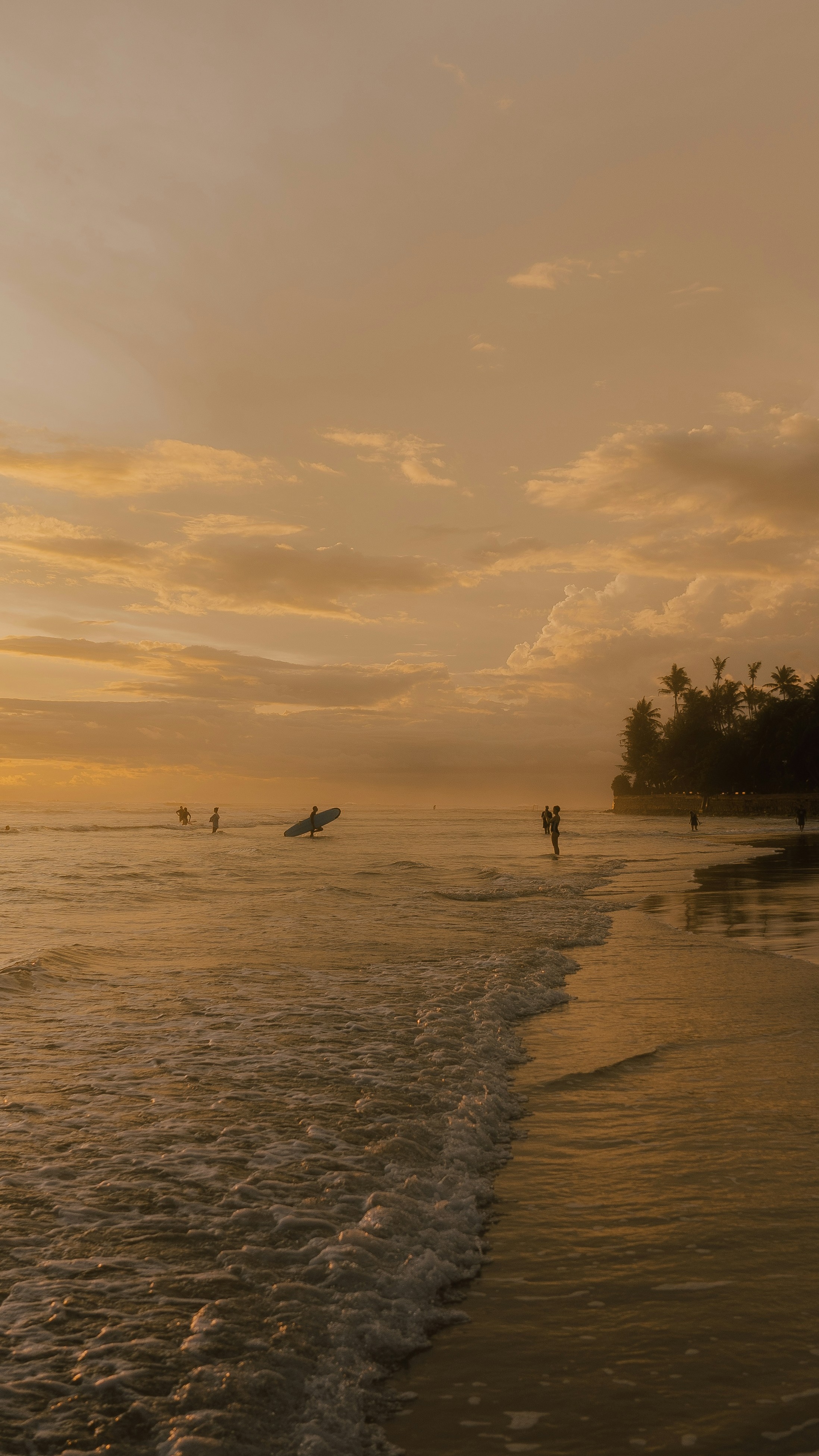 Golden Sunset at Tropical Beach