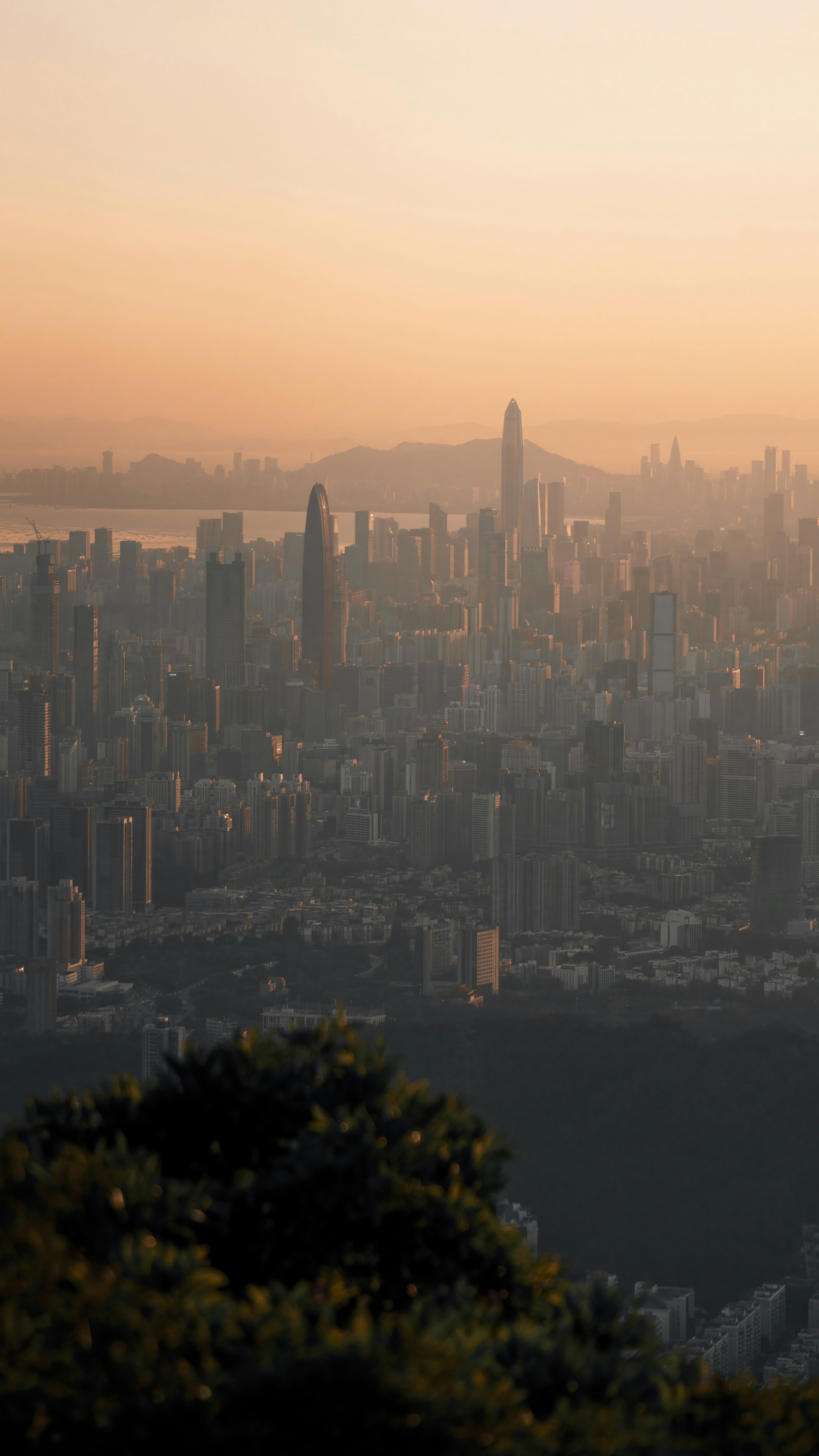 Cityscapes