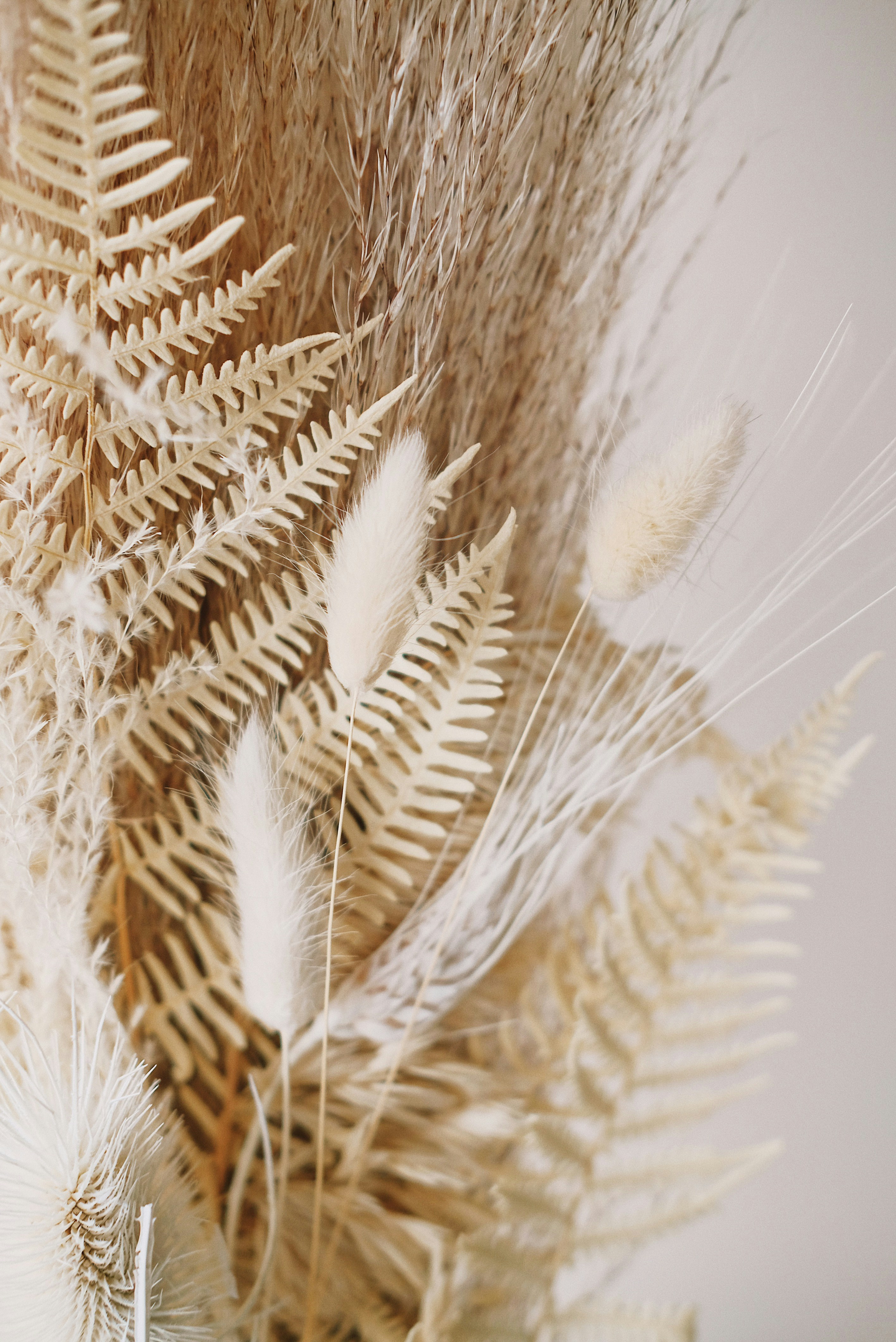 Dried Grass and Fern Arrangement