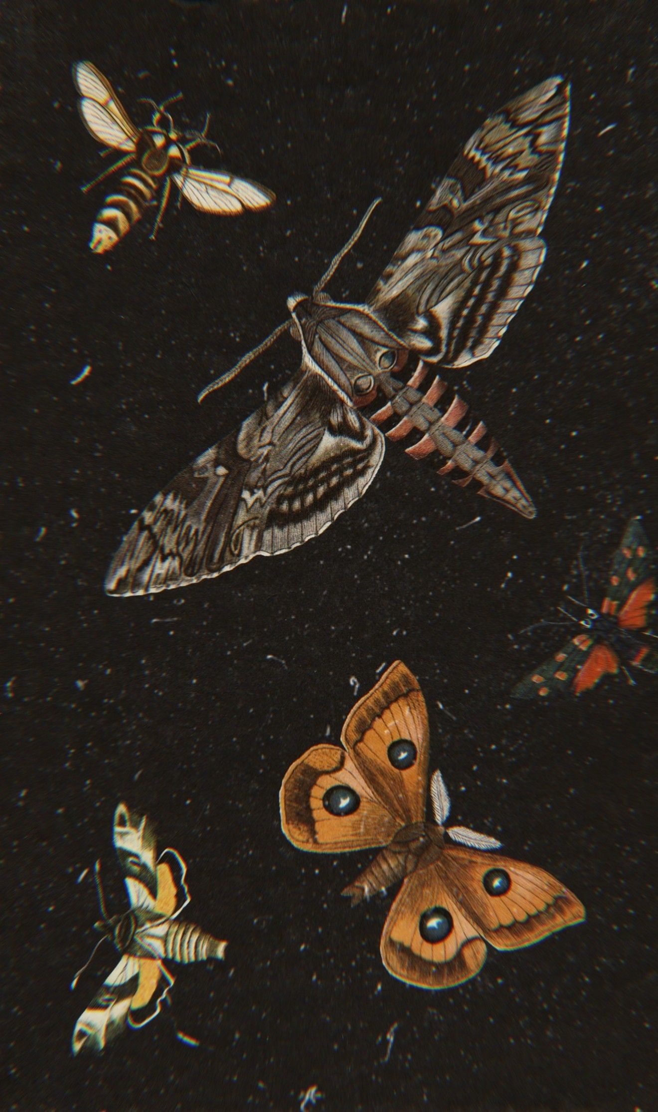 Wallpapers