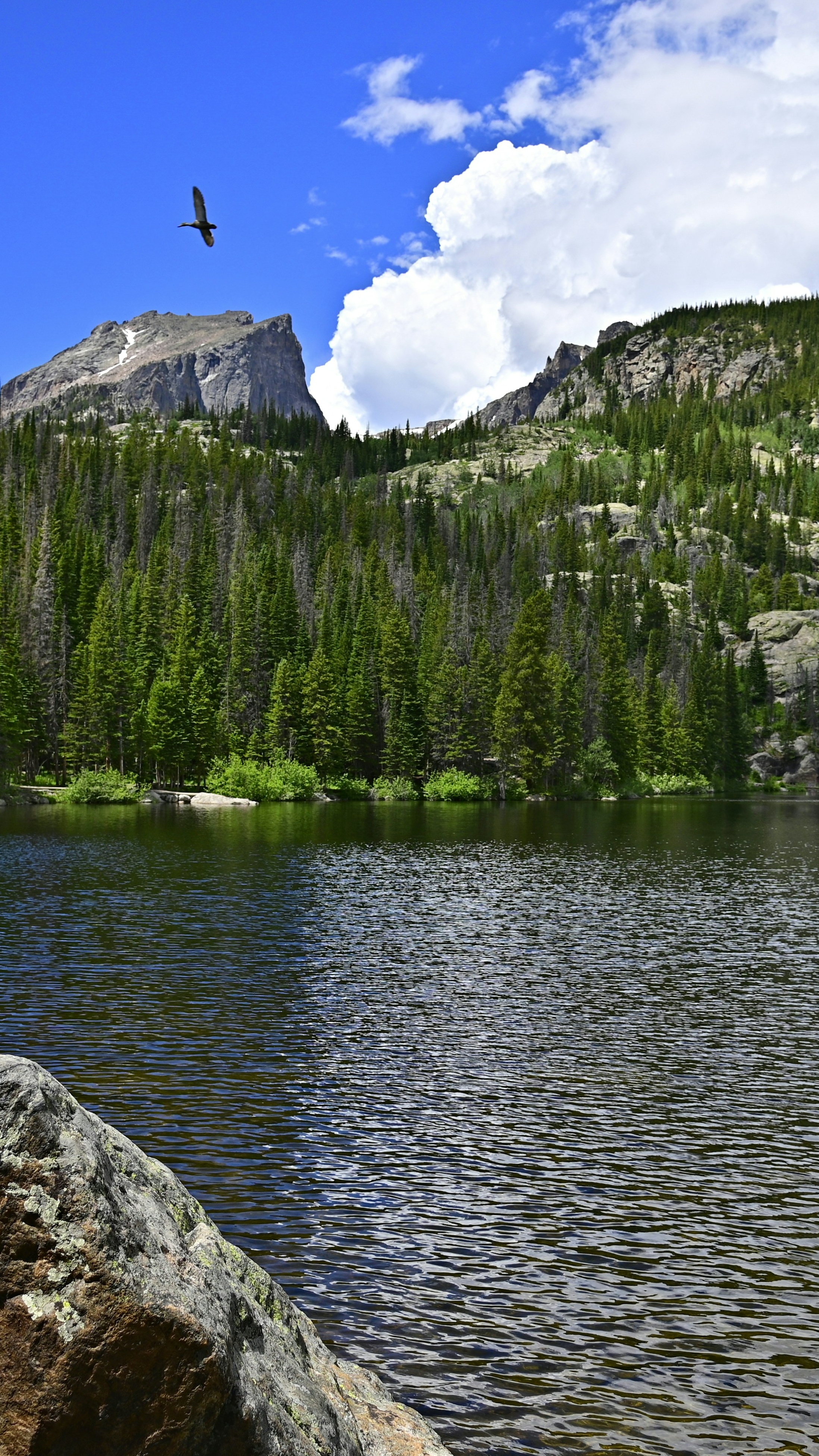 Landscapes