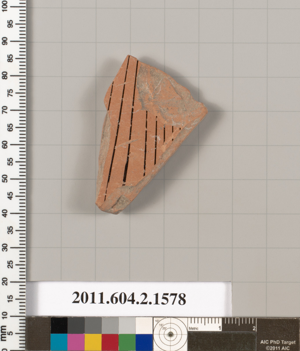 Ancient Pottery Shard Specimen