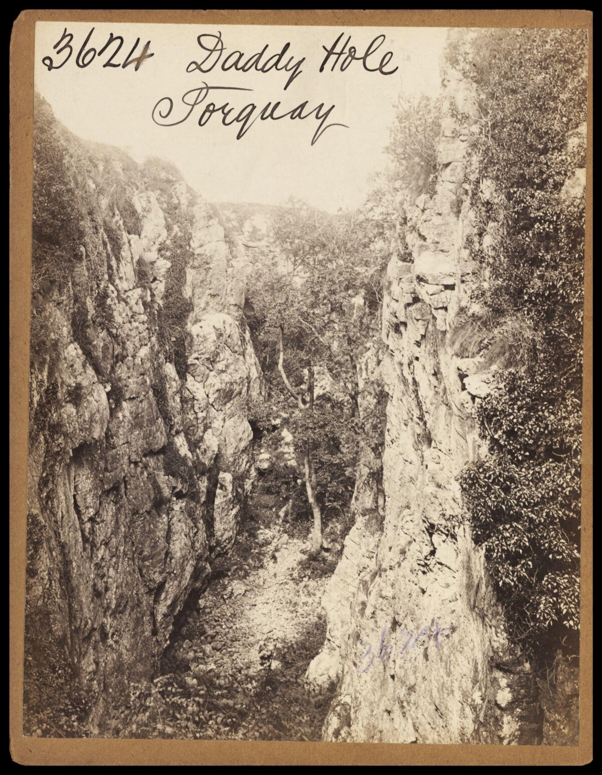 Daddy Hole Gorge, Torquay