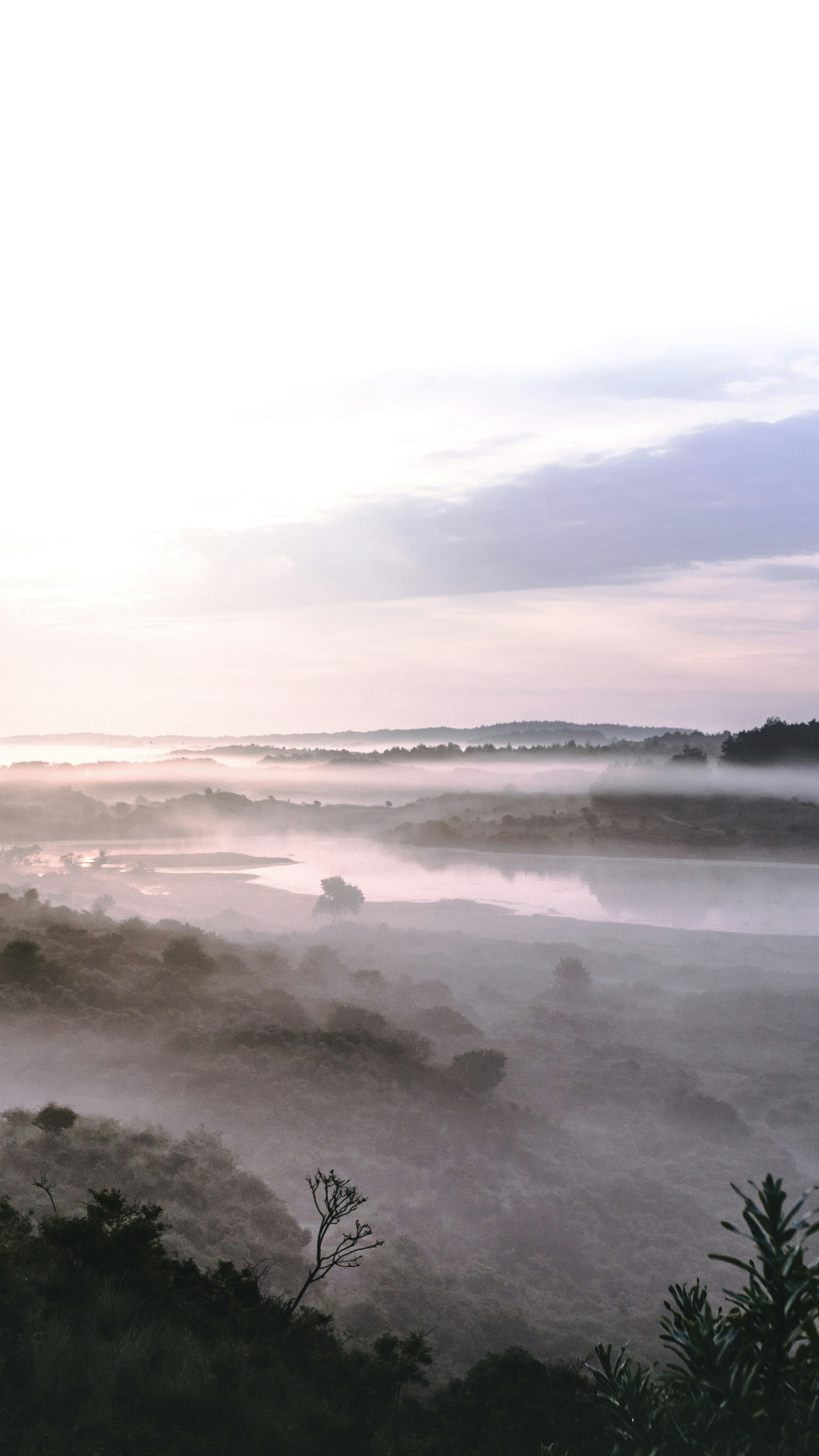 Landscapes