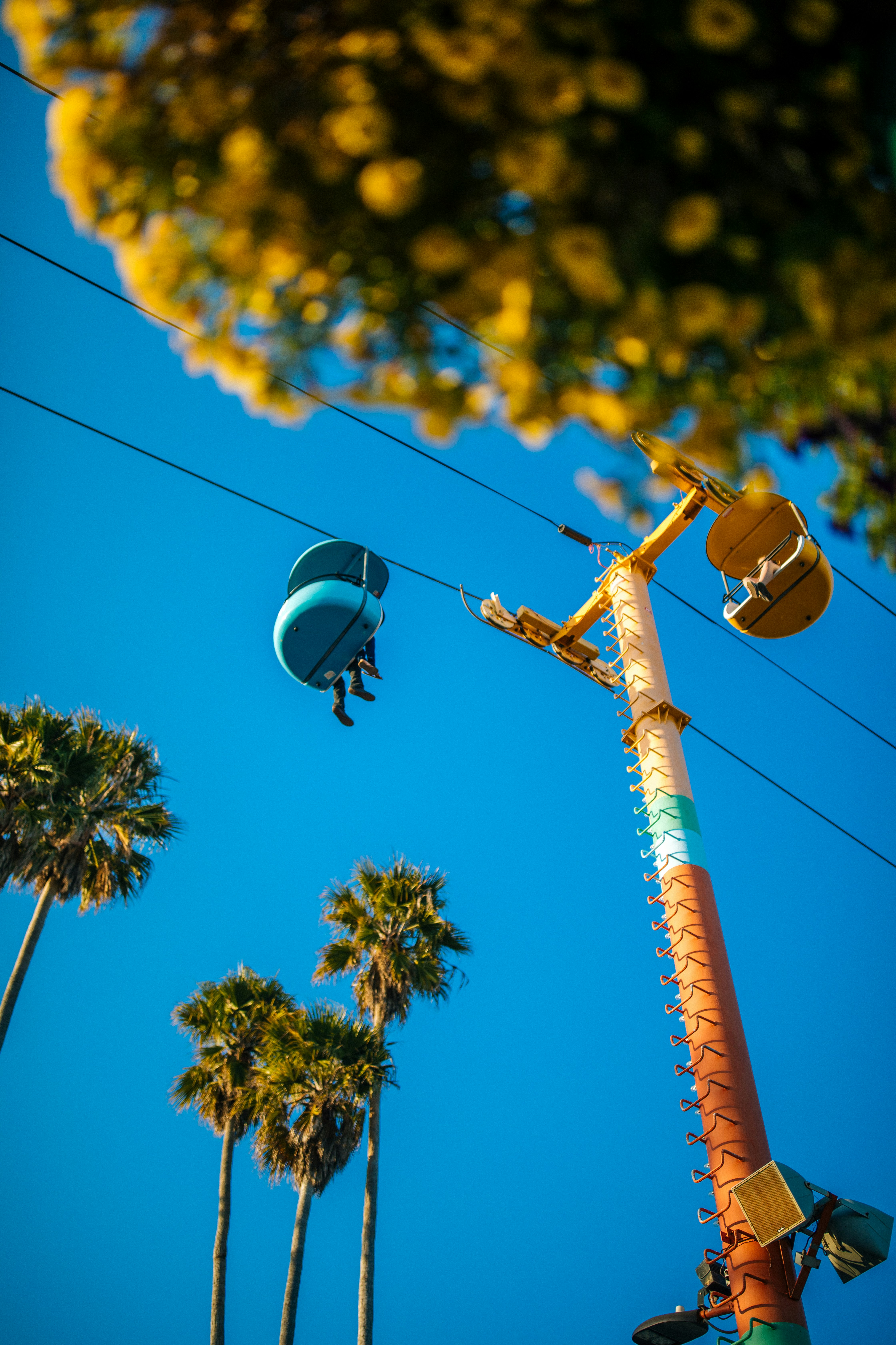 Cable Chairs Above Palm Trees