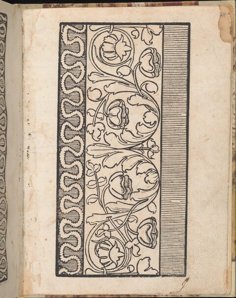 Vintage Woodcut Floral Decorative Pattern