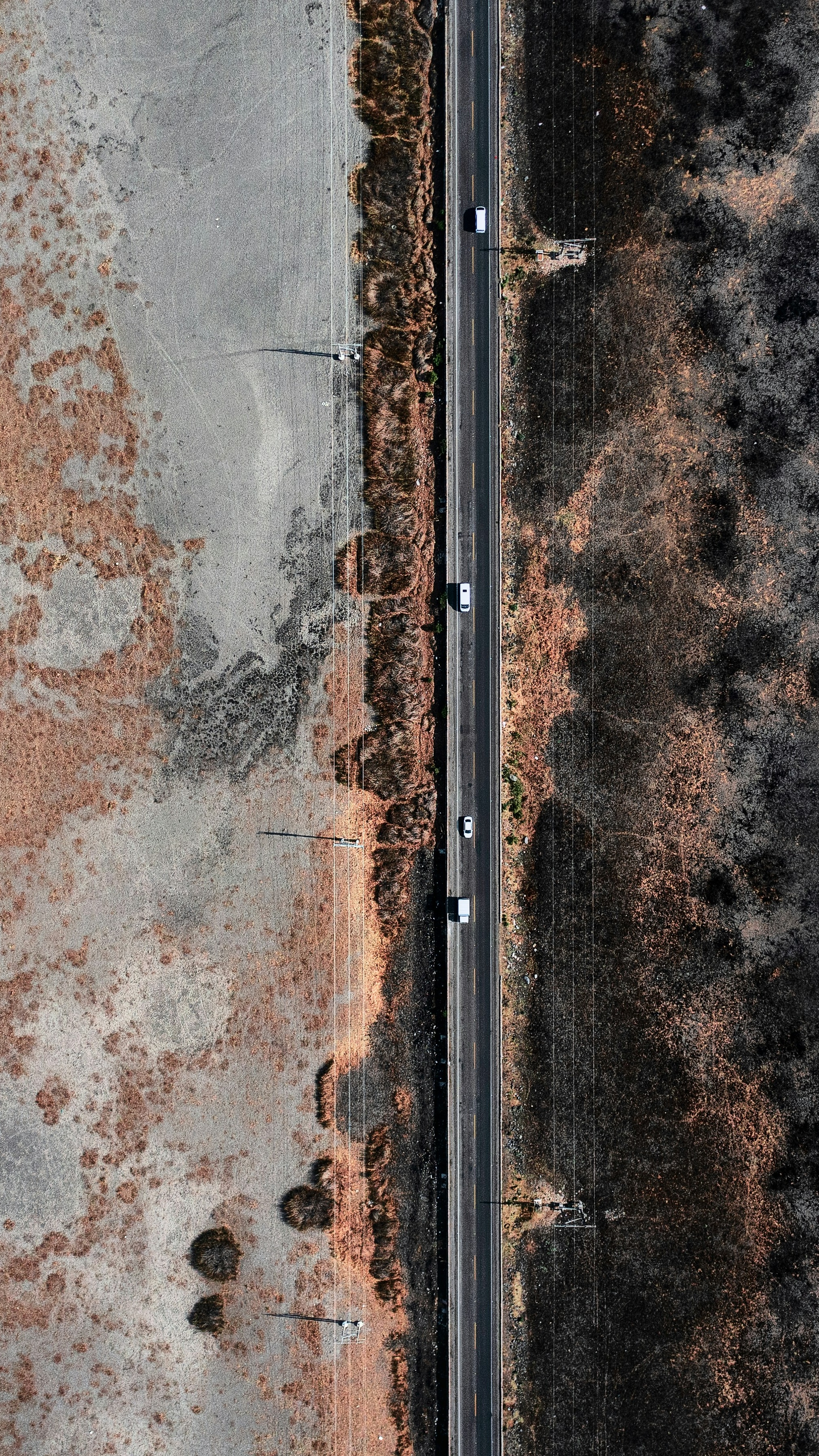 Wallpapers
