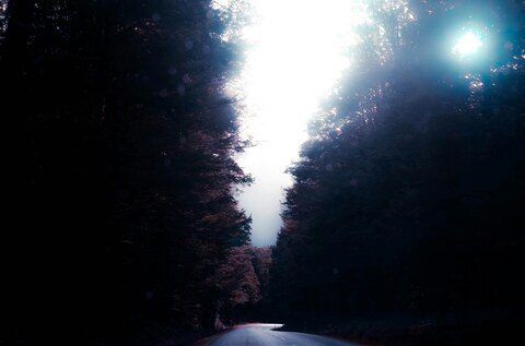 Forest Road Toward Bright Light