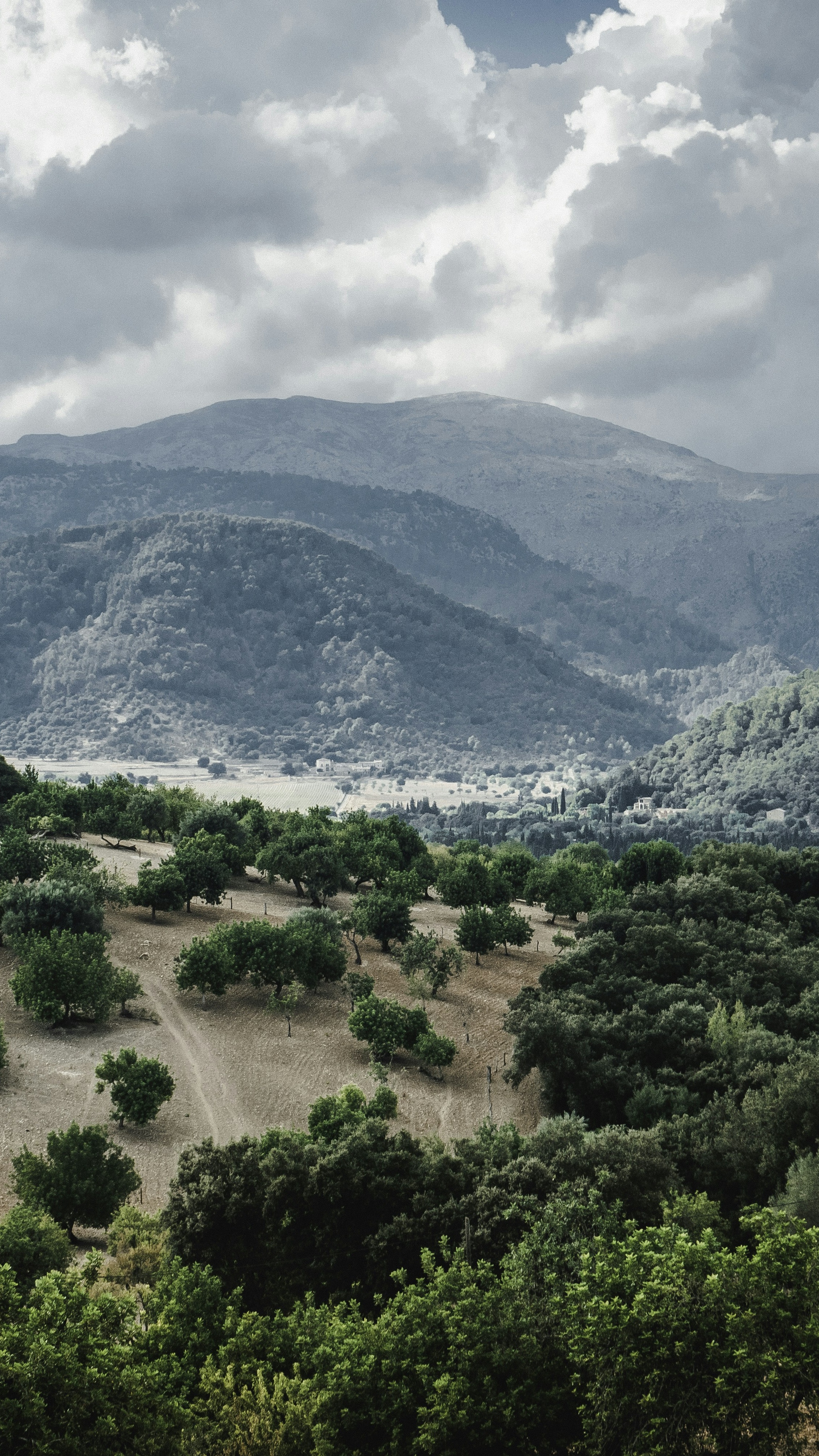 Landscapes