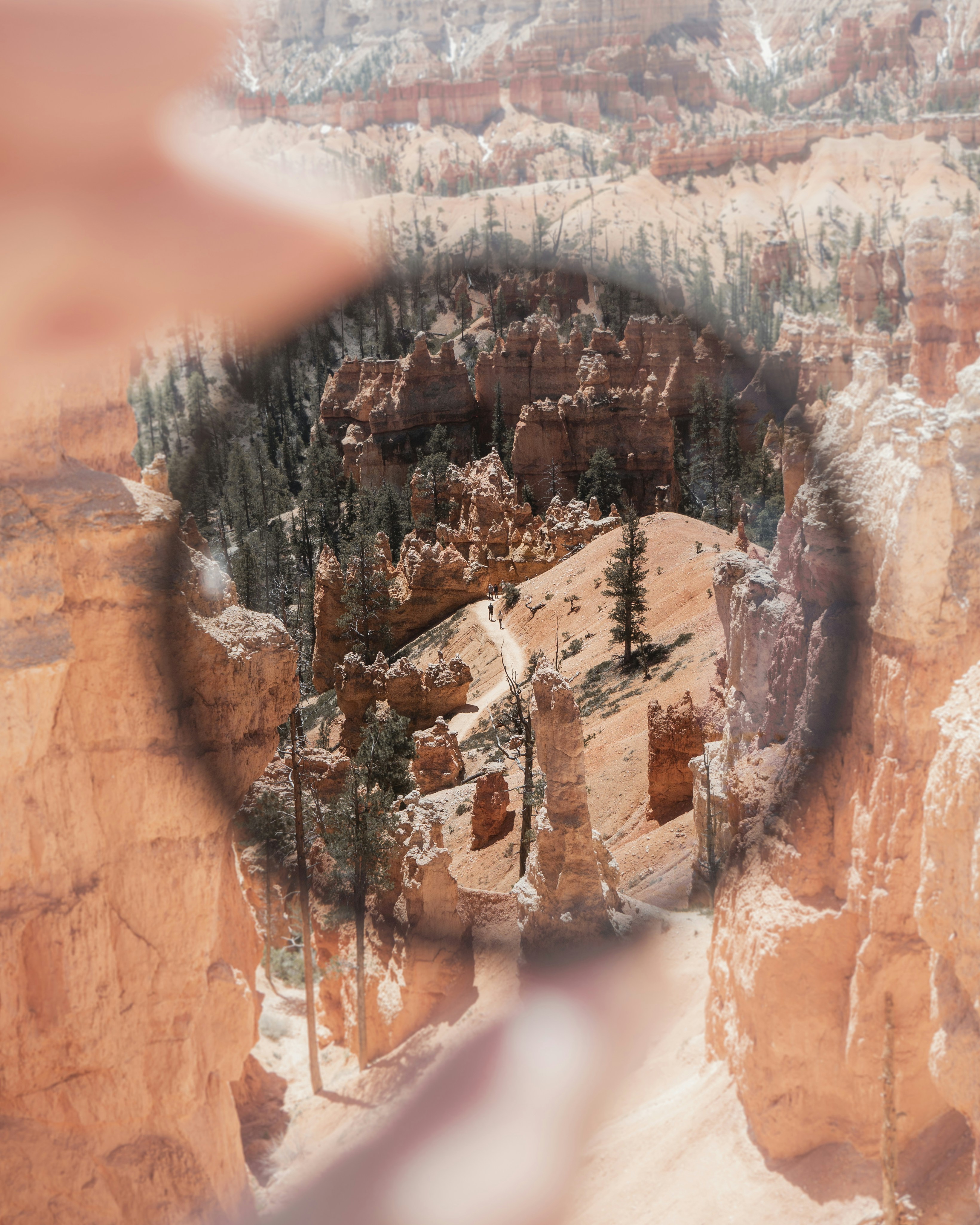 Canyon View Framed By Hand