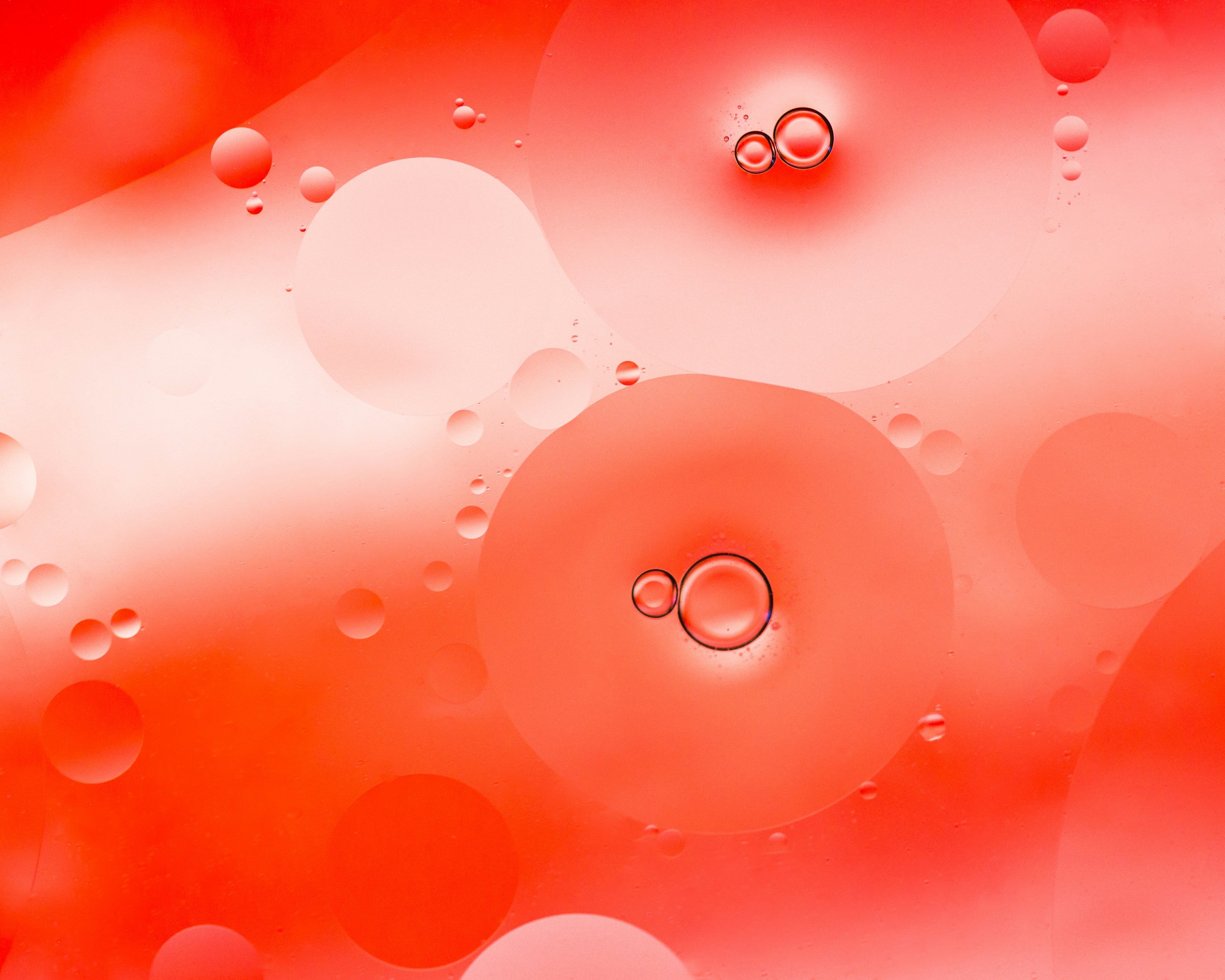 Red Background Oil Bubbles