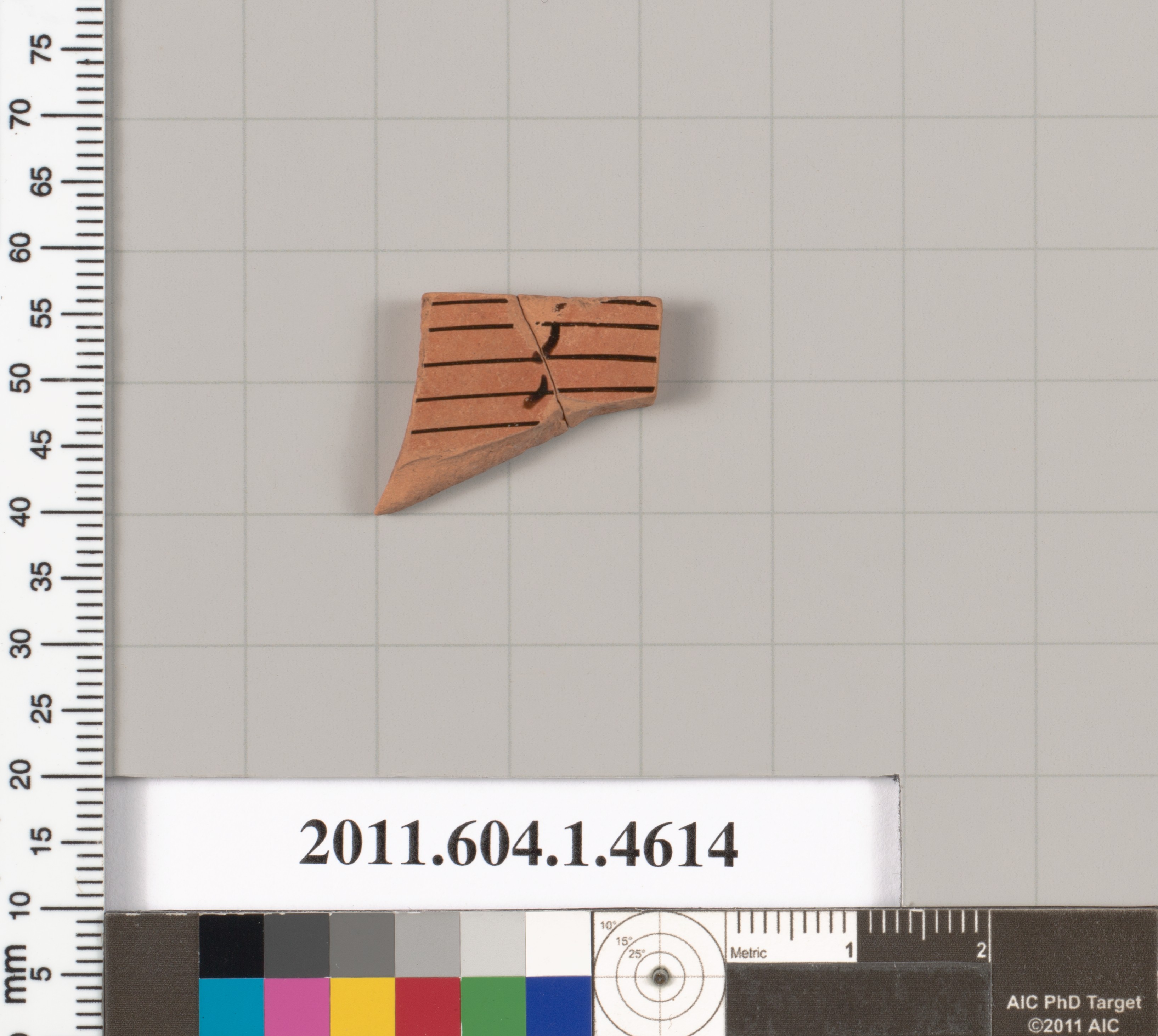 Cataloged Painted Pottery Shard