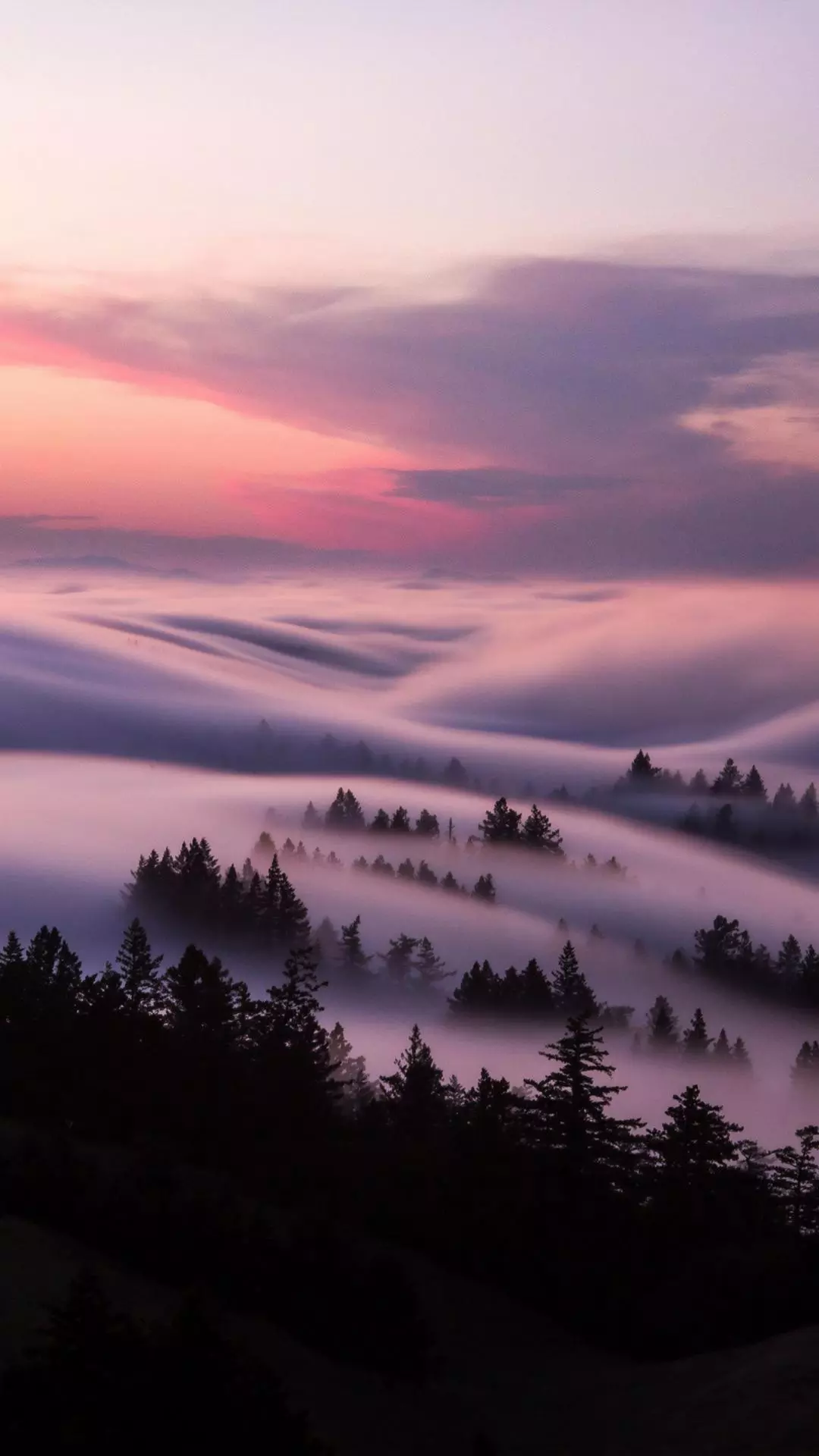 Landscapes