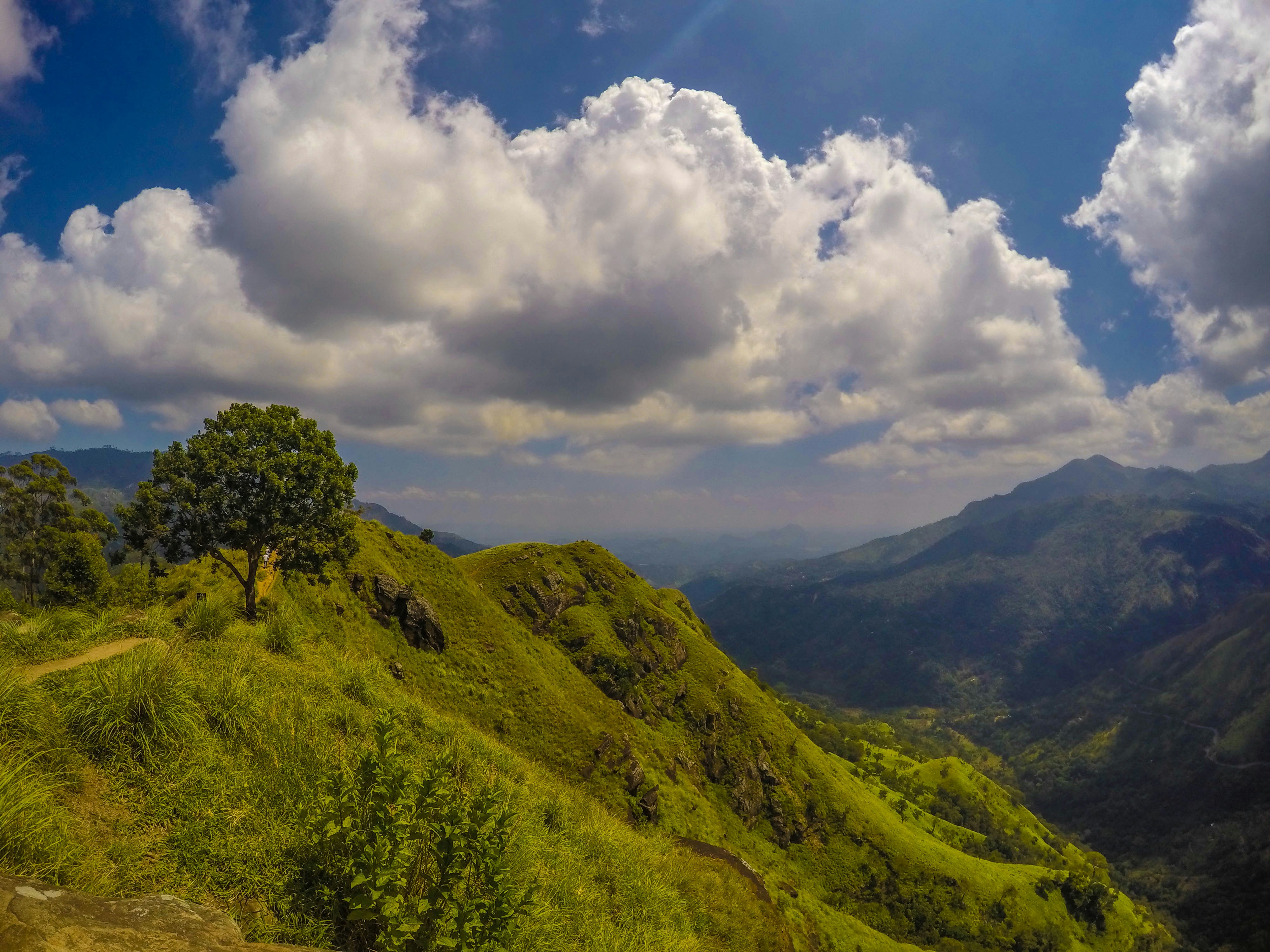 Green Mountain Ridge Landscape