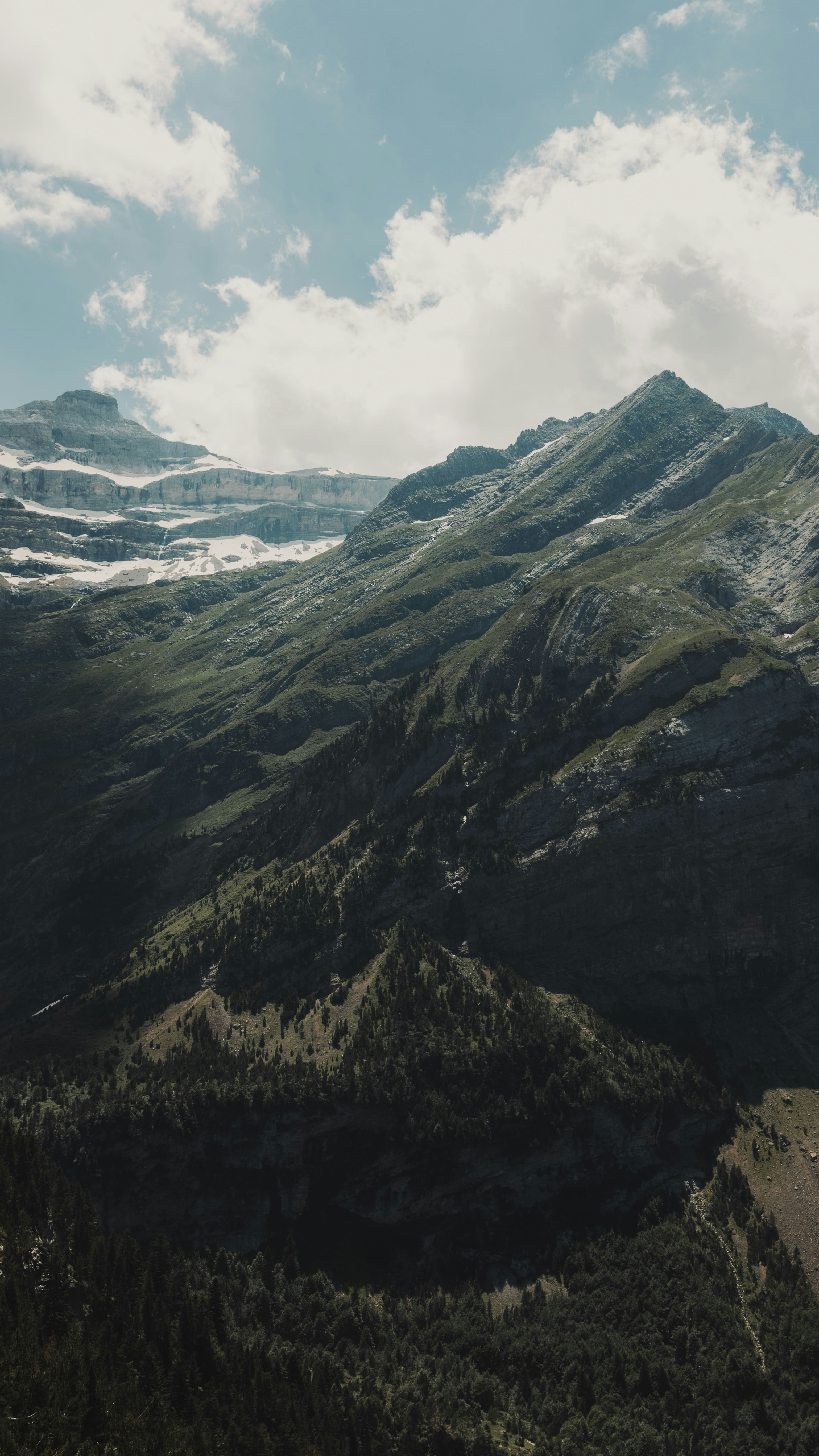 Wallpapers