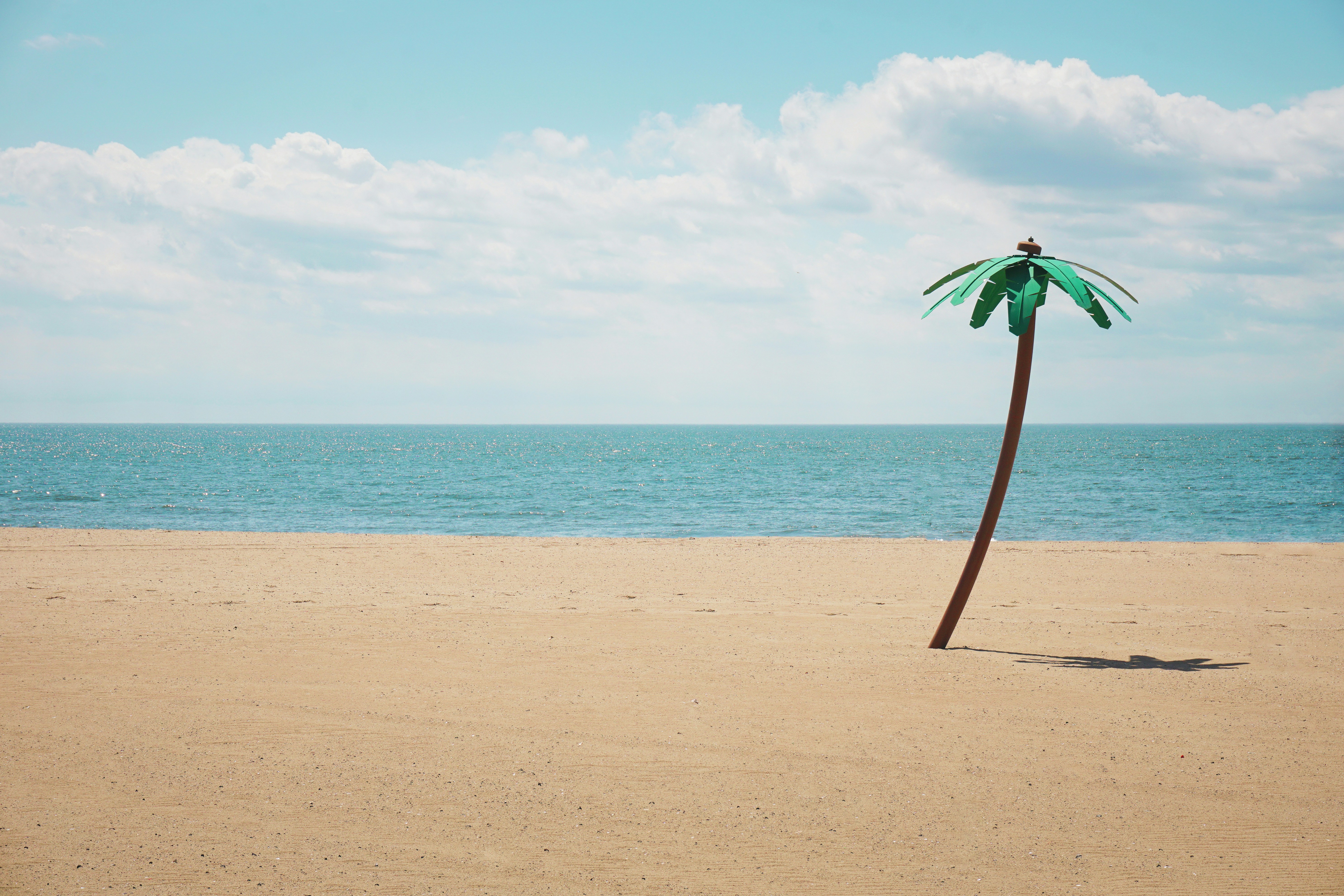 Empty Beach with Decorative Palm Tree
