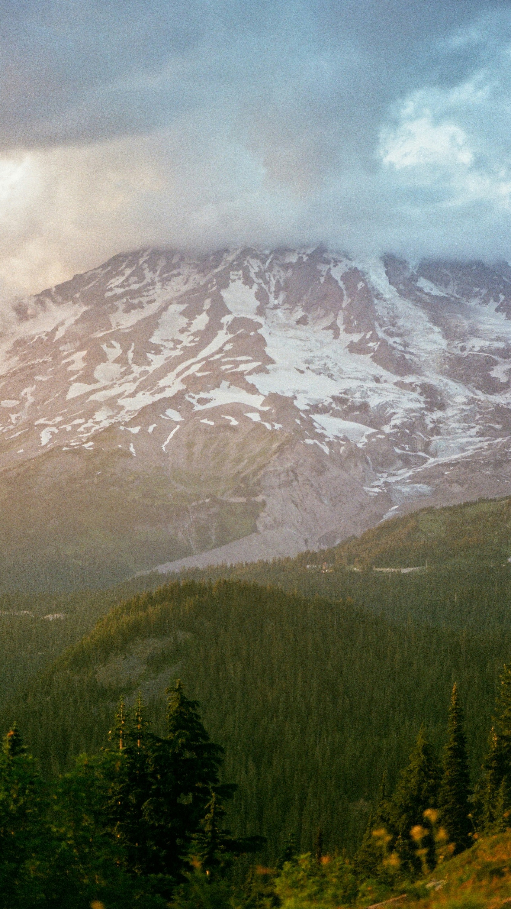 Snow-Capped Mountain Forest Landscape