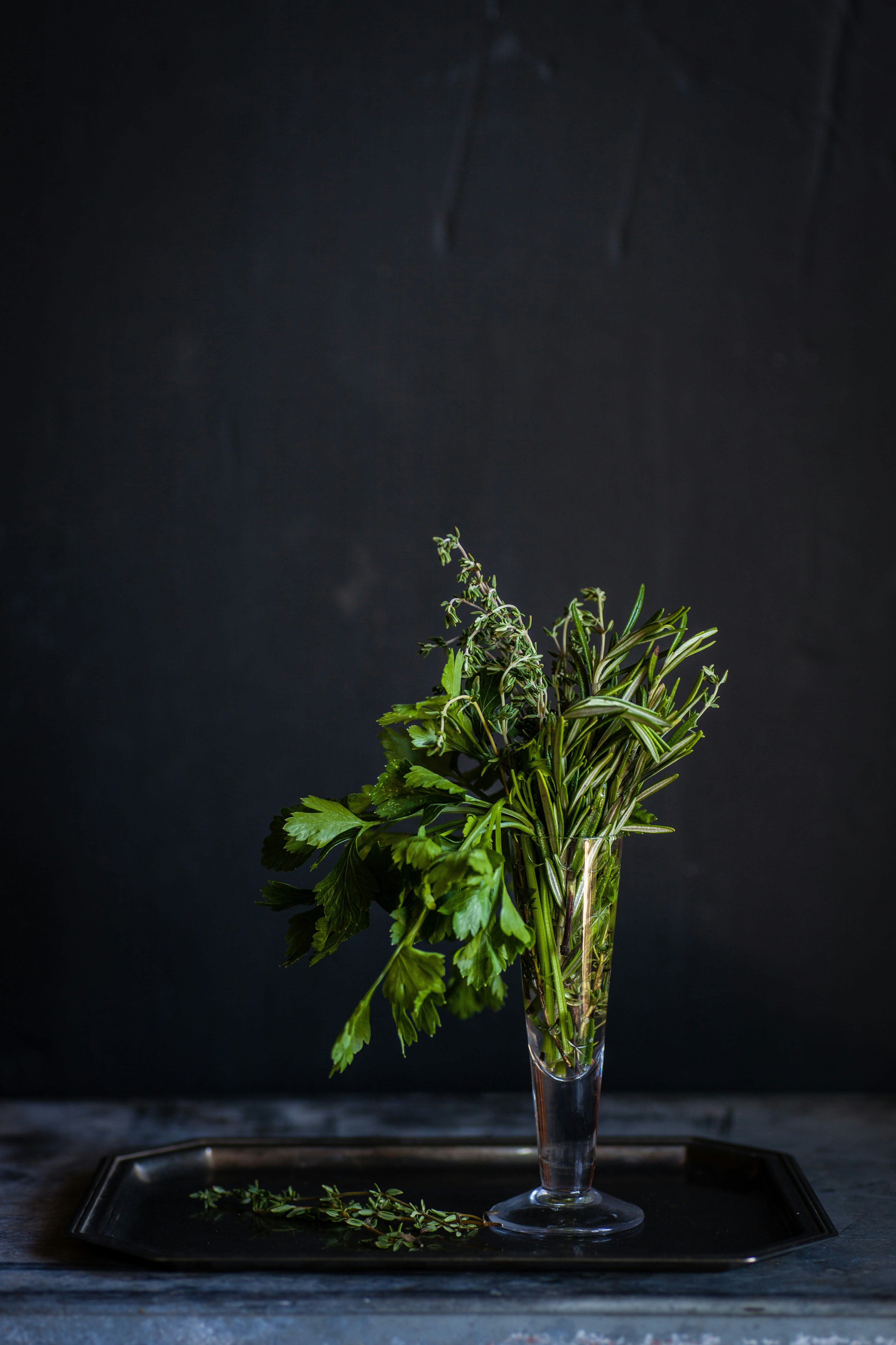 Fresh Herbs in Glass Vase